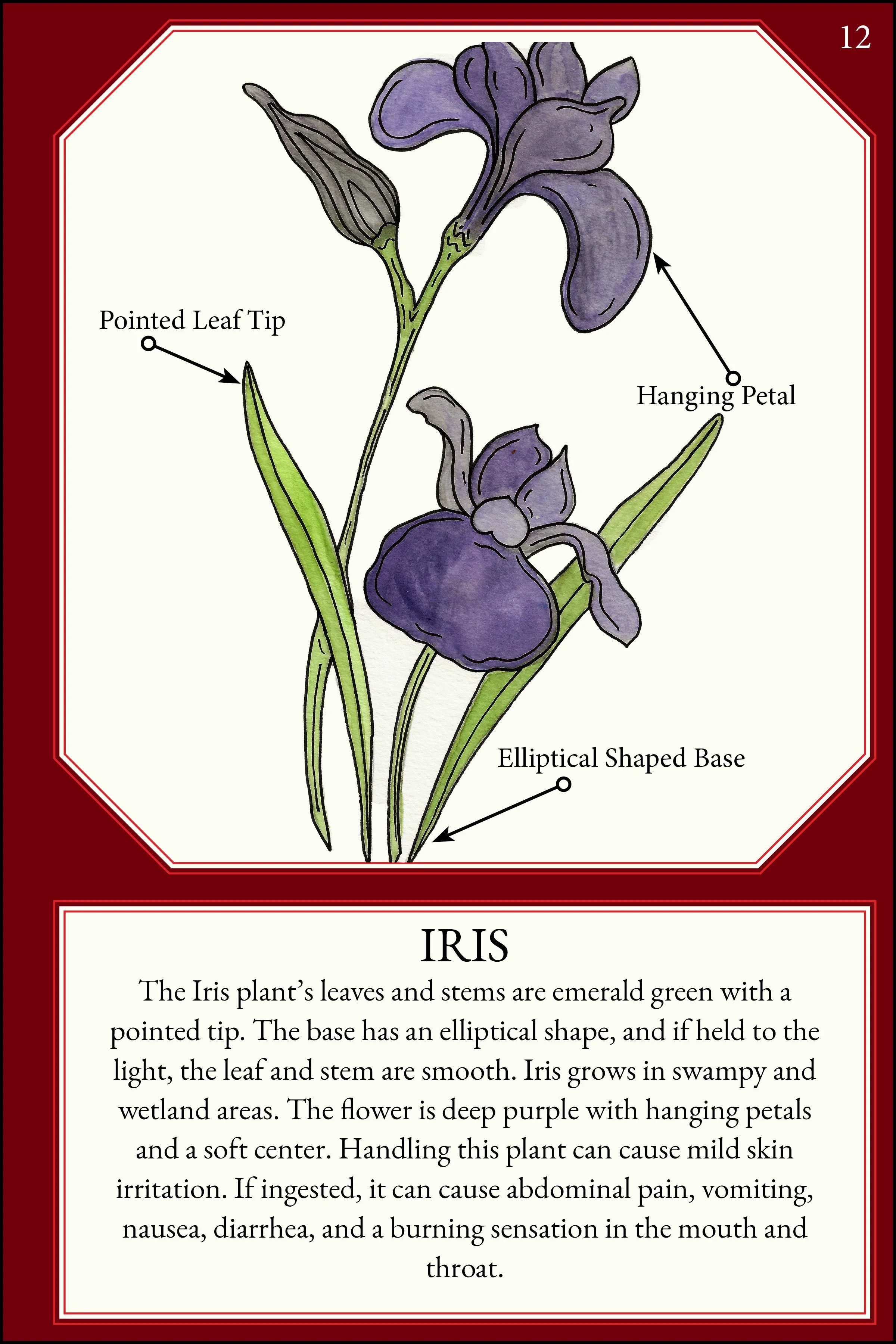 larger size correct file 4x615.jpg