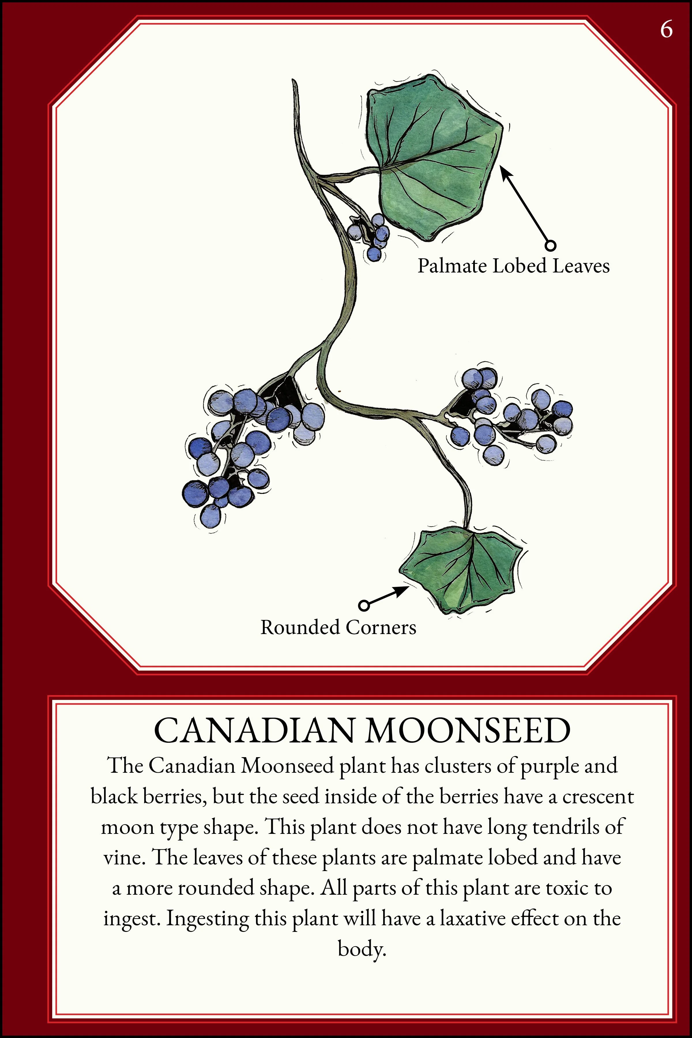 larger size correct file 4x69.jpg