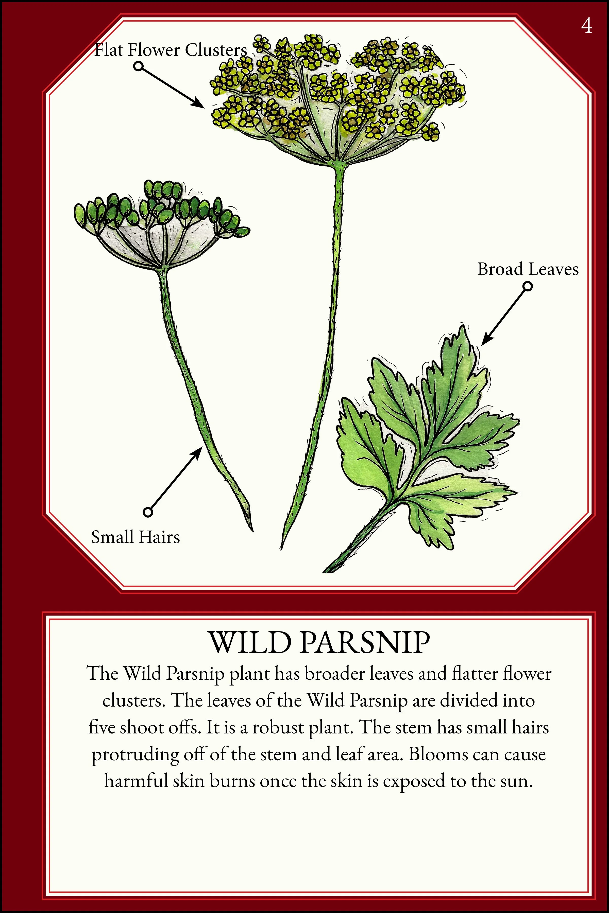 larger size correct file 4x67.jpg