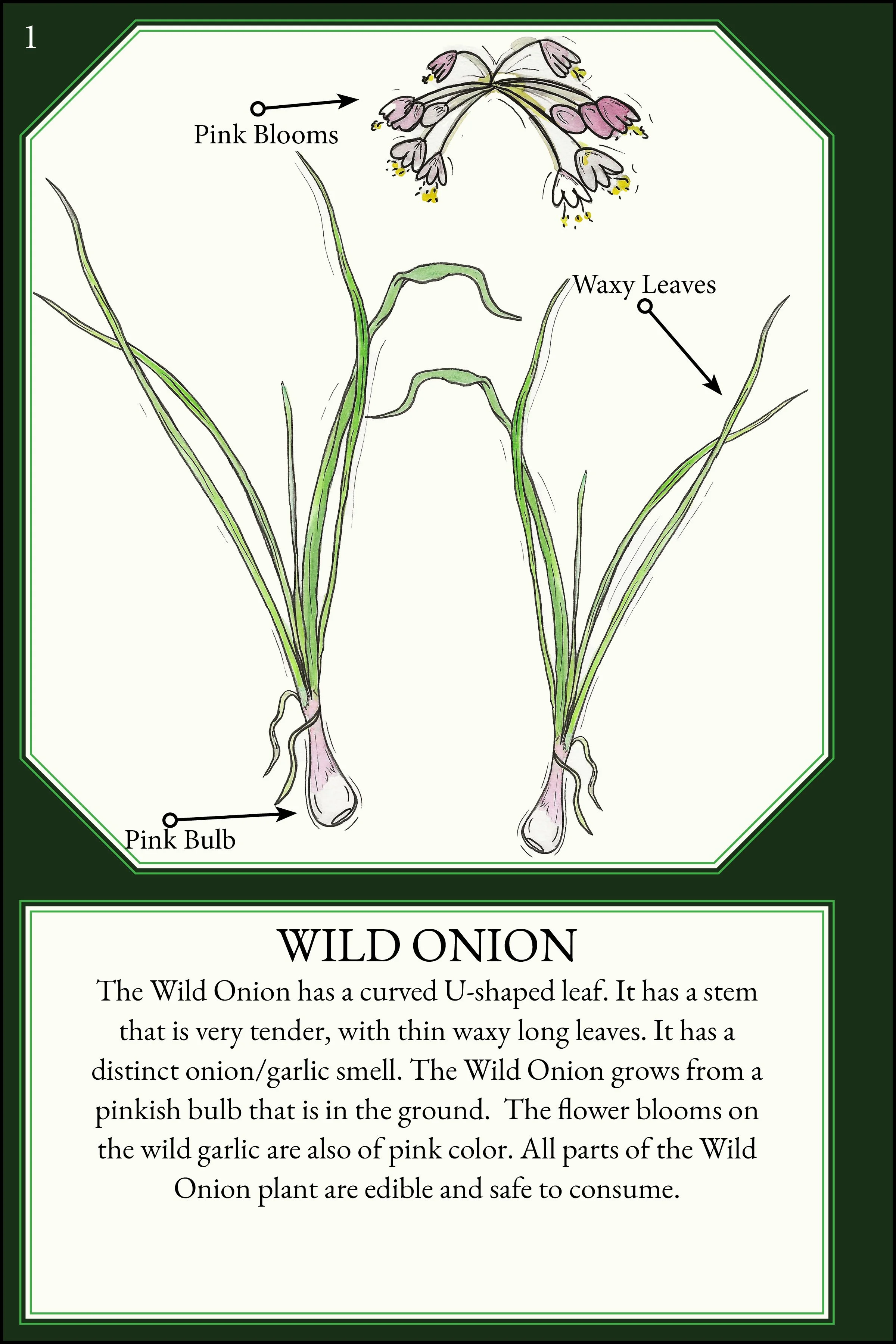 larger size correct file 4x64.jpg