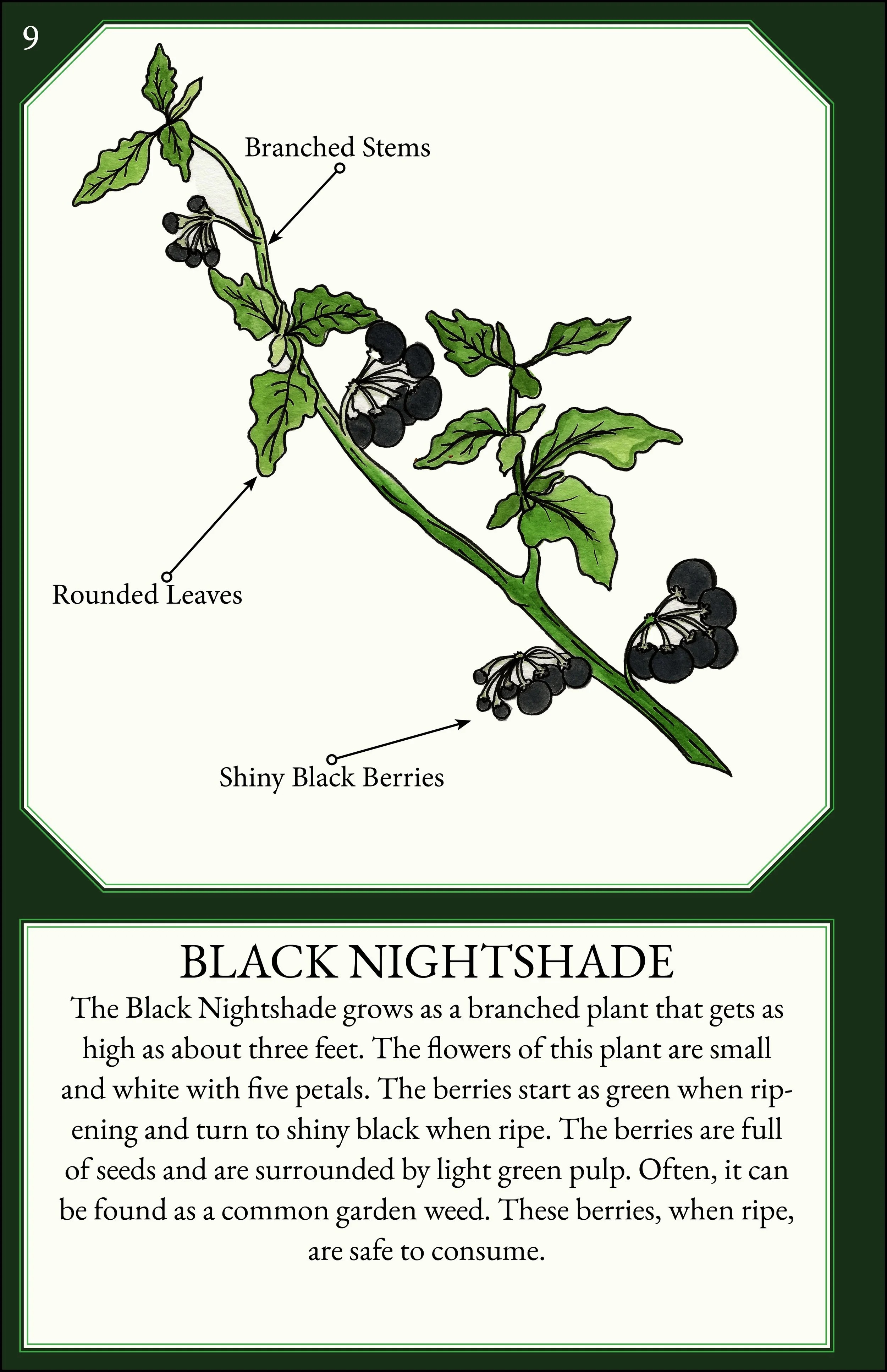 larger size correct file 12.jpg