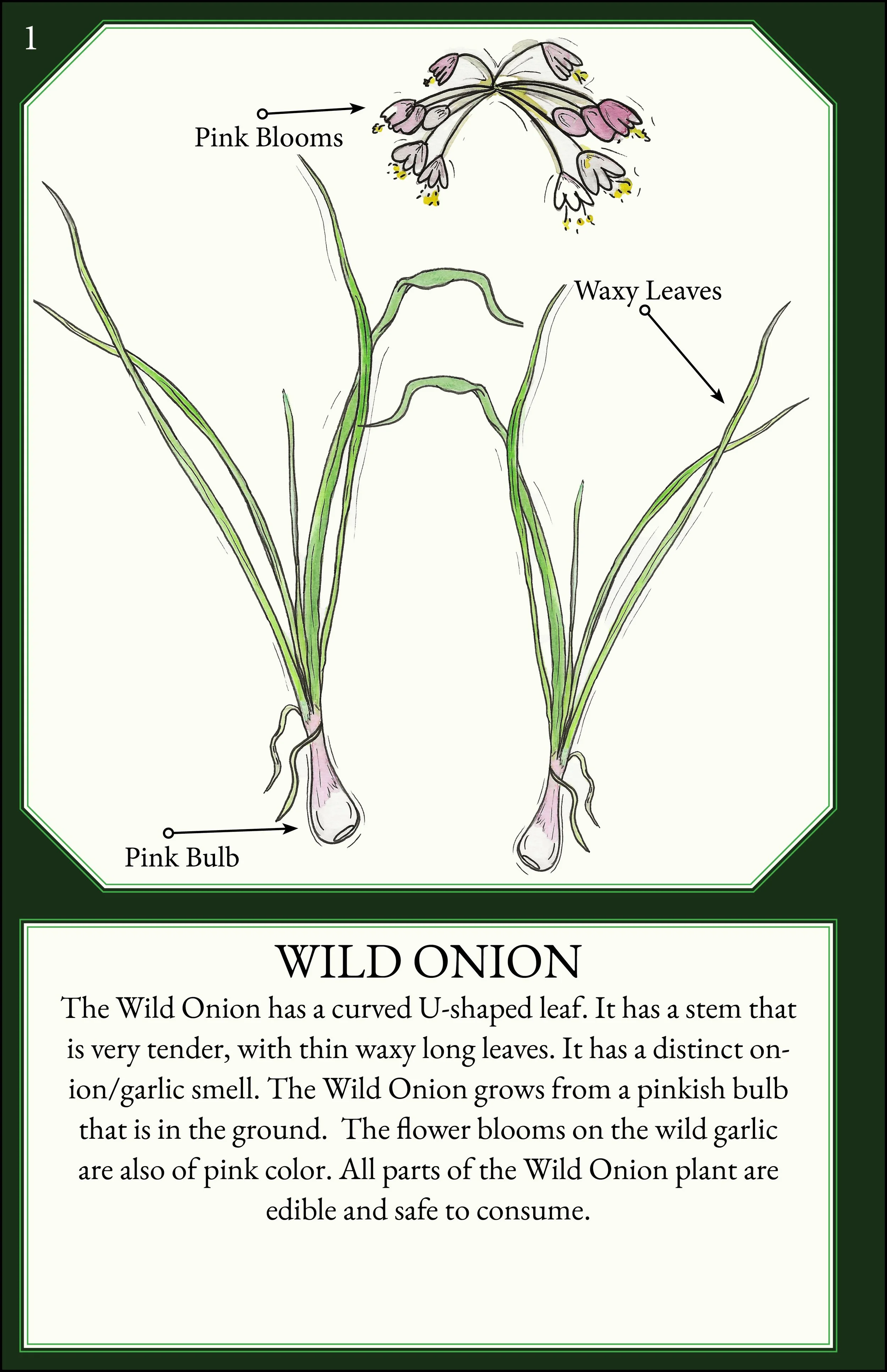 larger size correct file 4.jpg