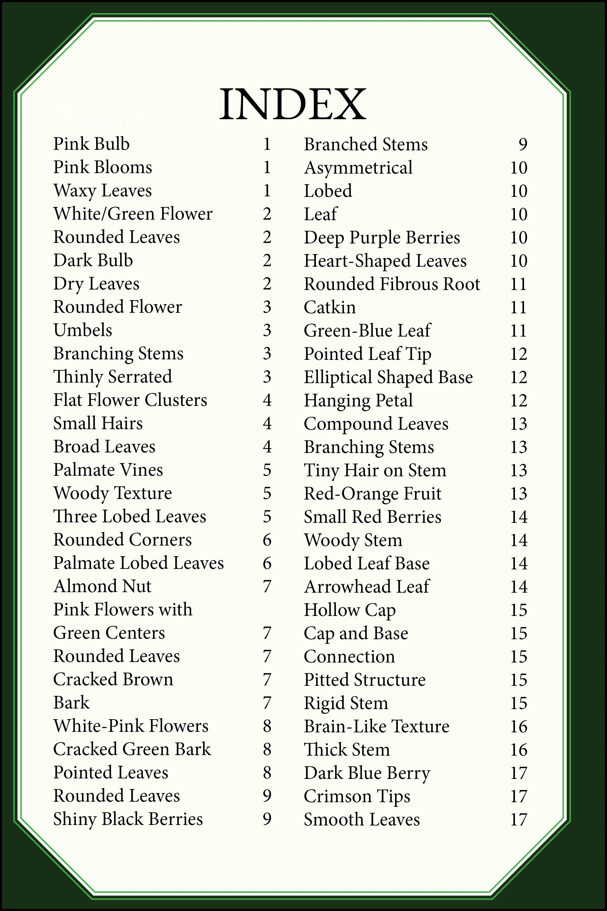 larger size correct file 4x622.jpg