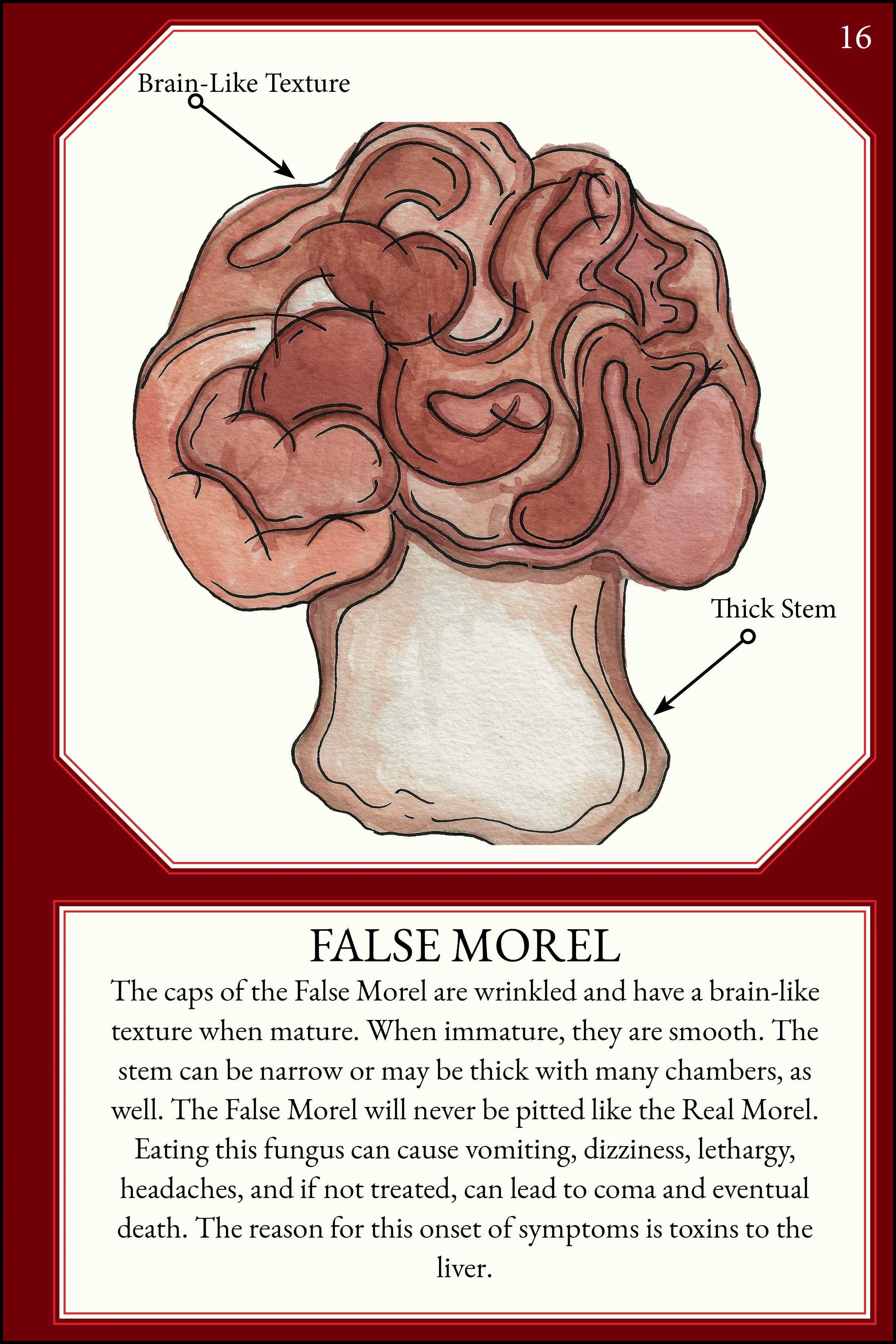 larger size correct file 4x619.jpg