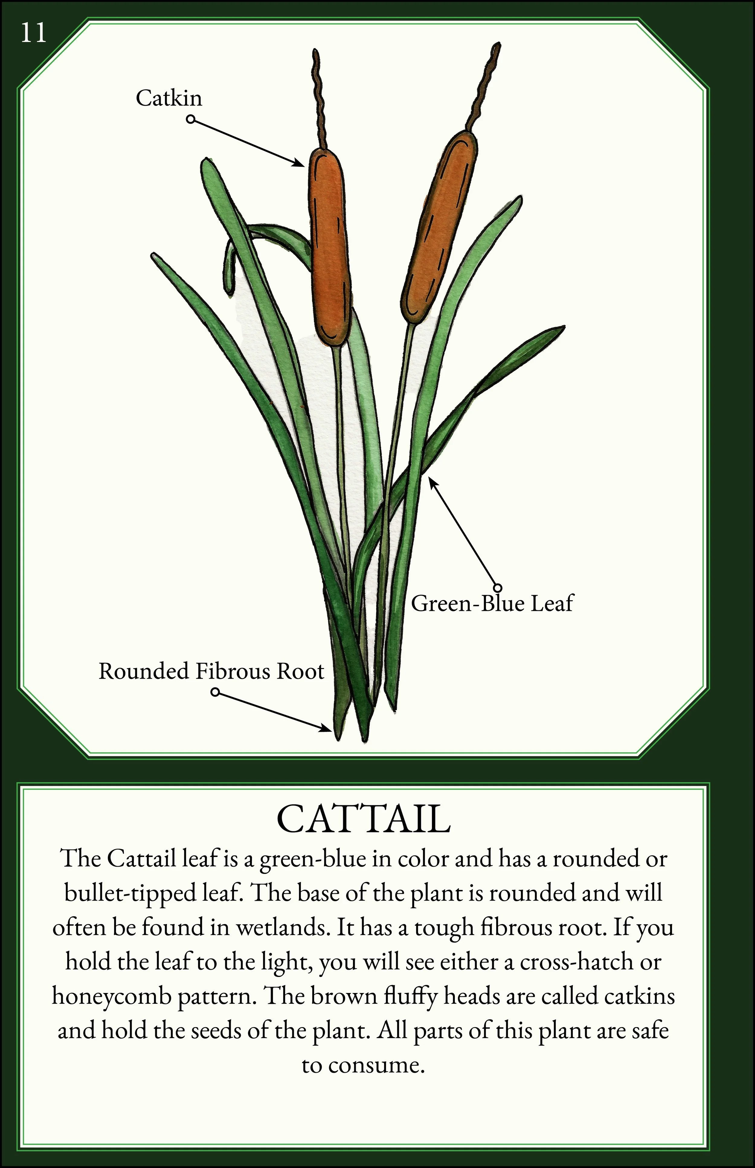 larger size correct file 14.jpg