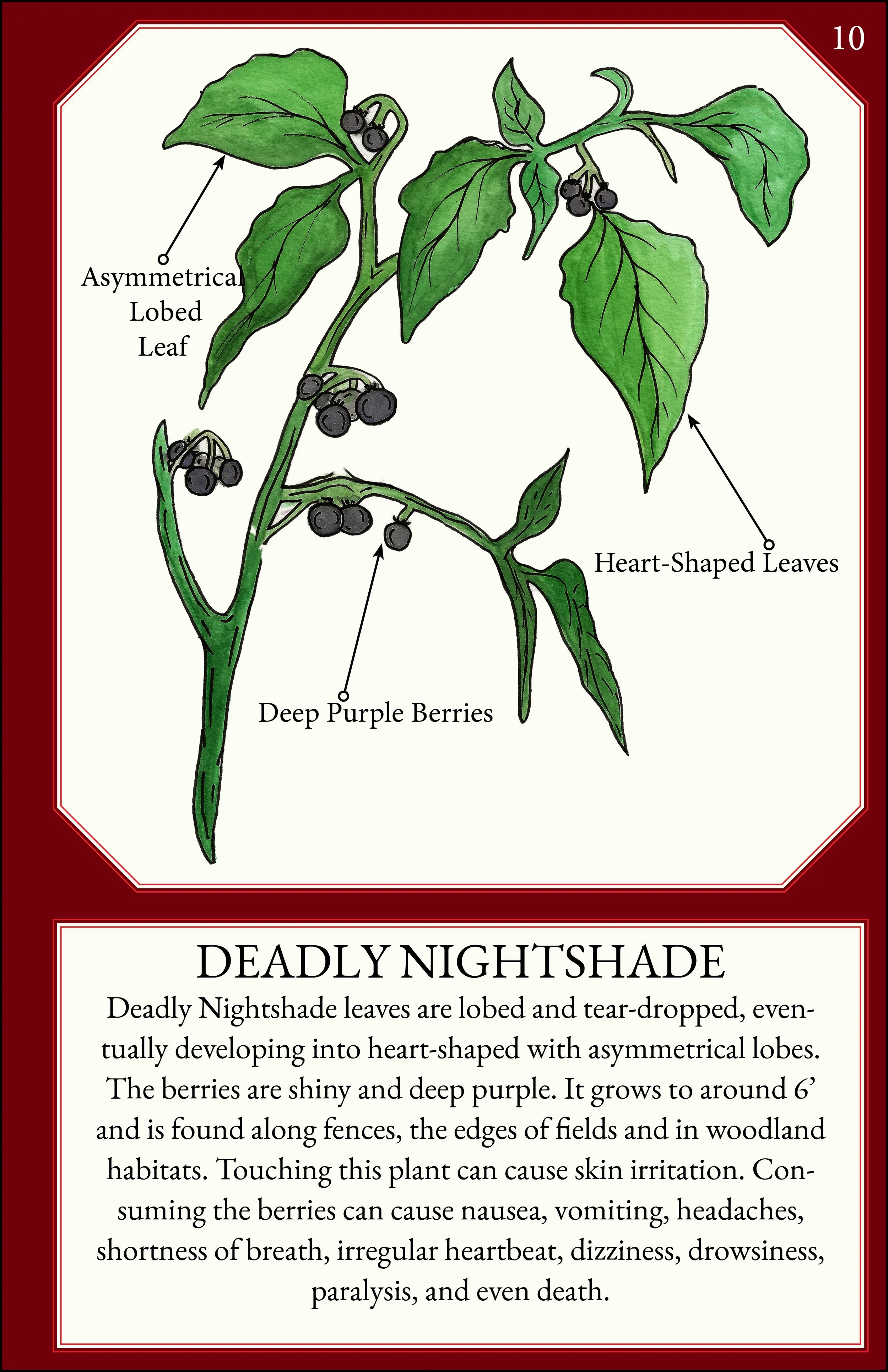 larger size correct file 13.jpg