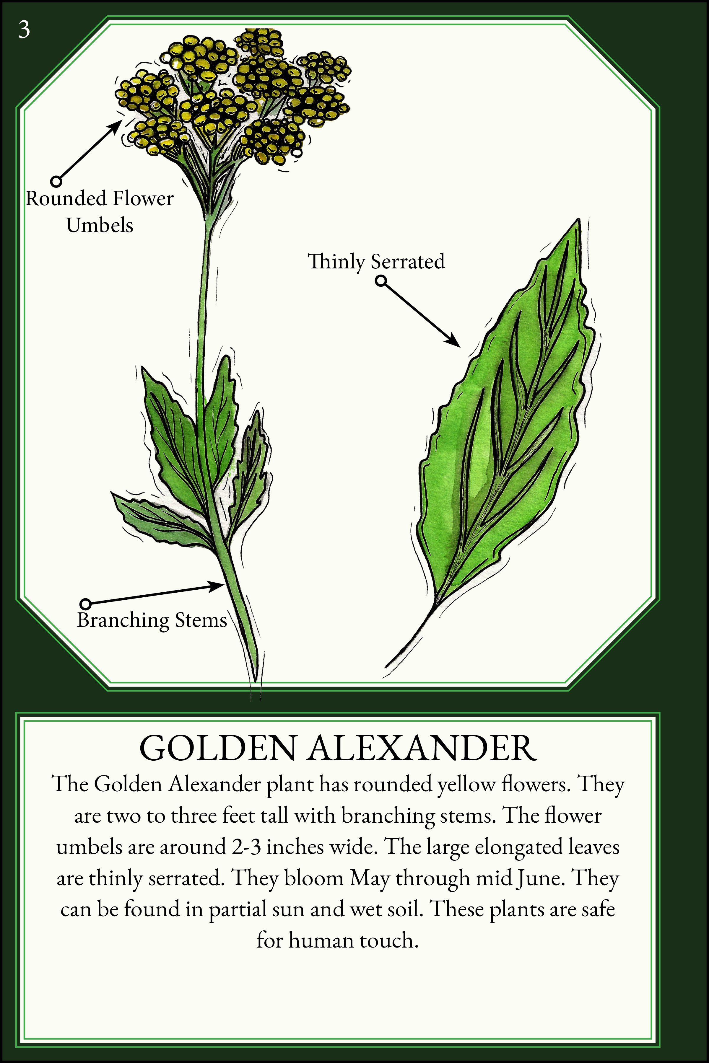 larger size correct file 4x66.jpg