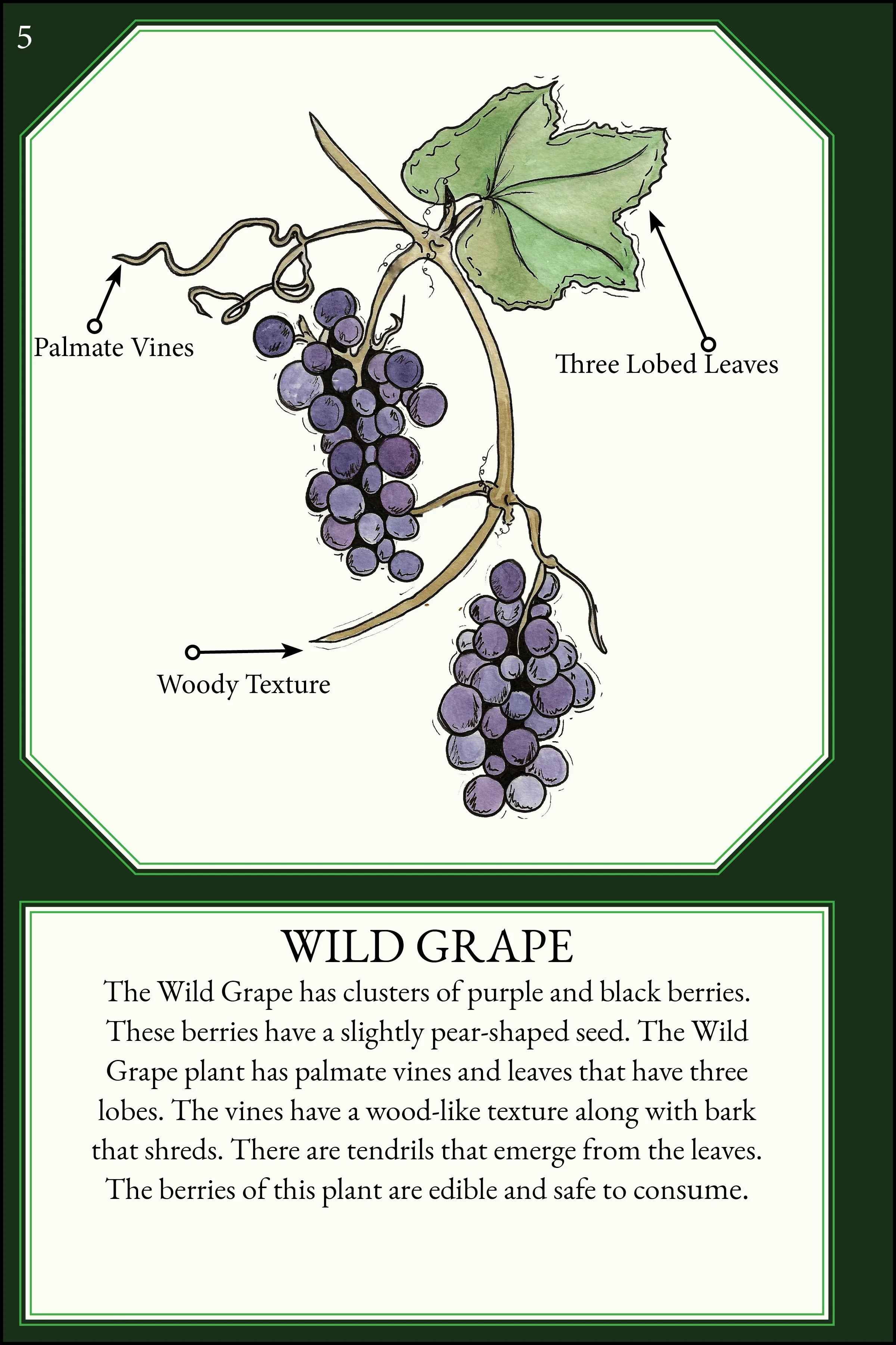 larger size correct file 4x68.jpg