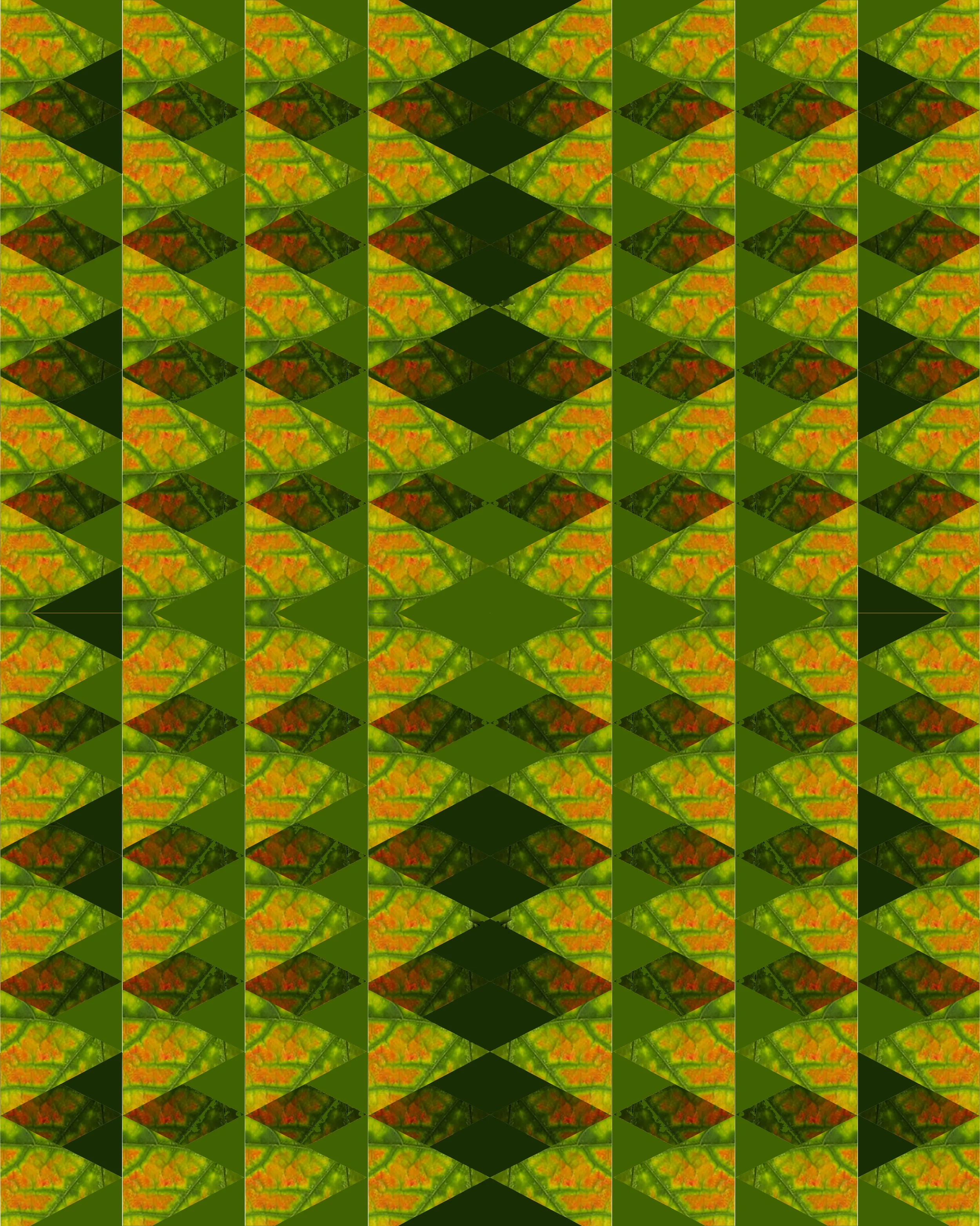 3 Leaf Free Study 1 .jpg