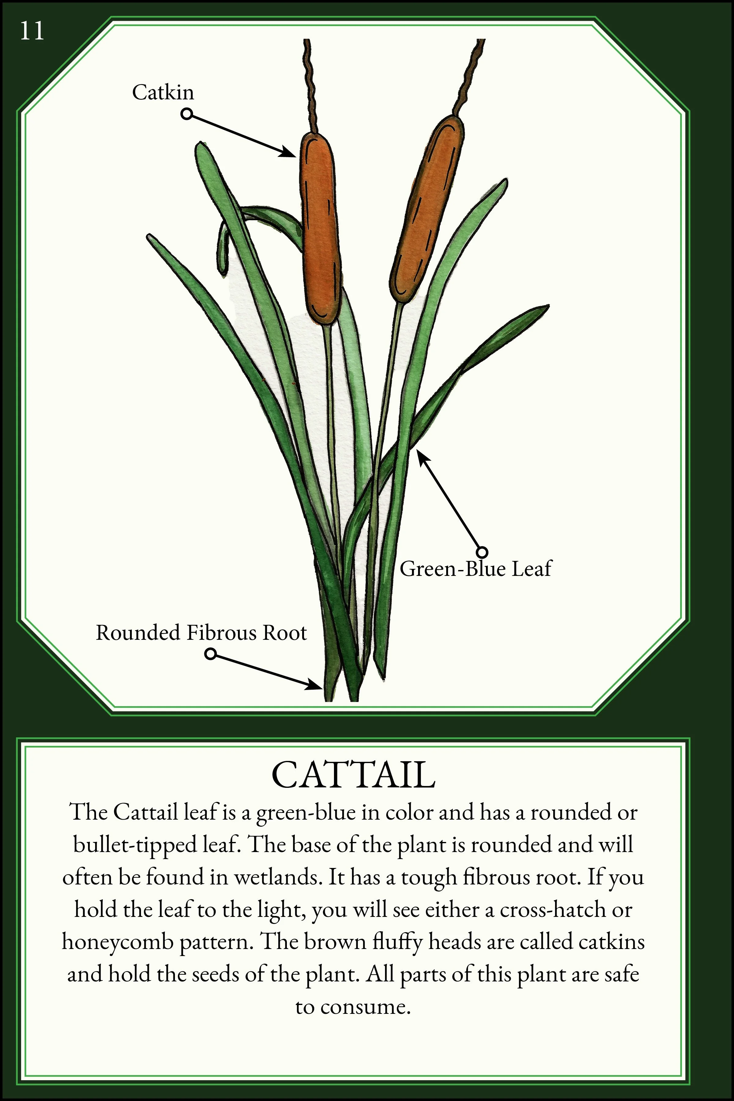 larger size correct file 4x614.jpg