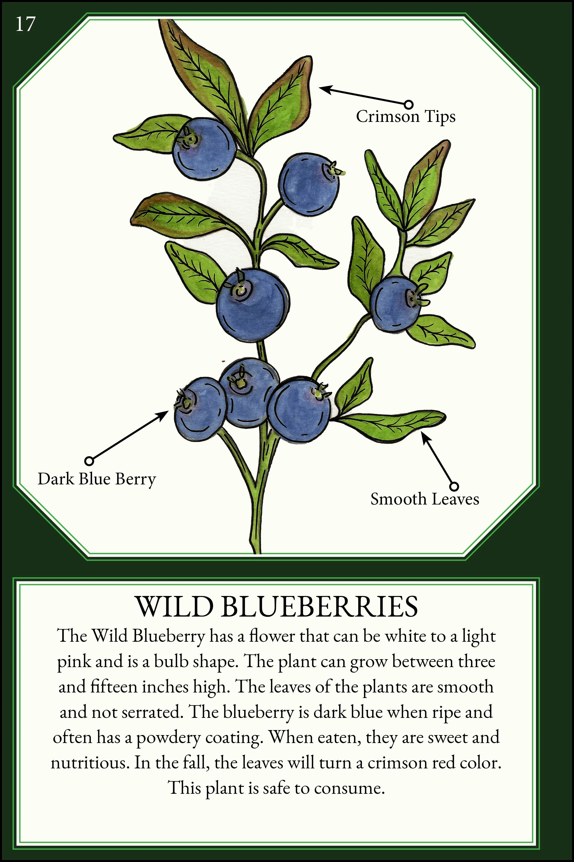 larger size correct file 4x620.jpg