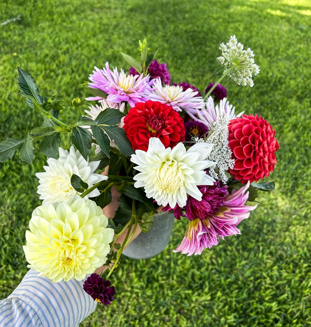 Gallery — Glen Elgin Flower Farm