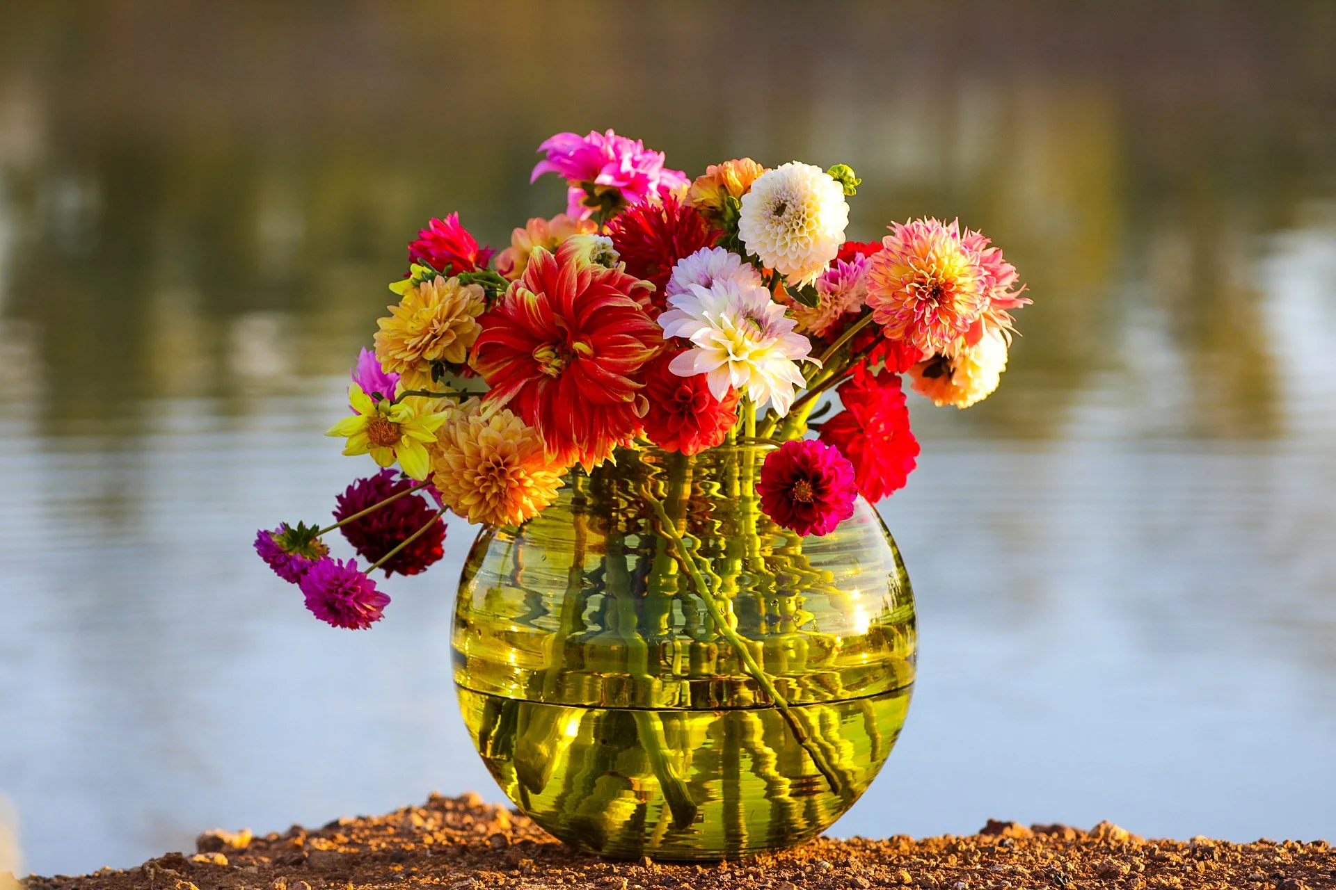 Gallery — Glen Elgin Flower Farm