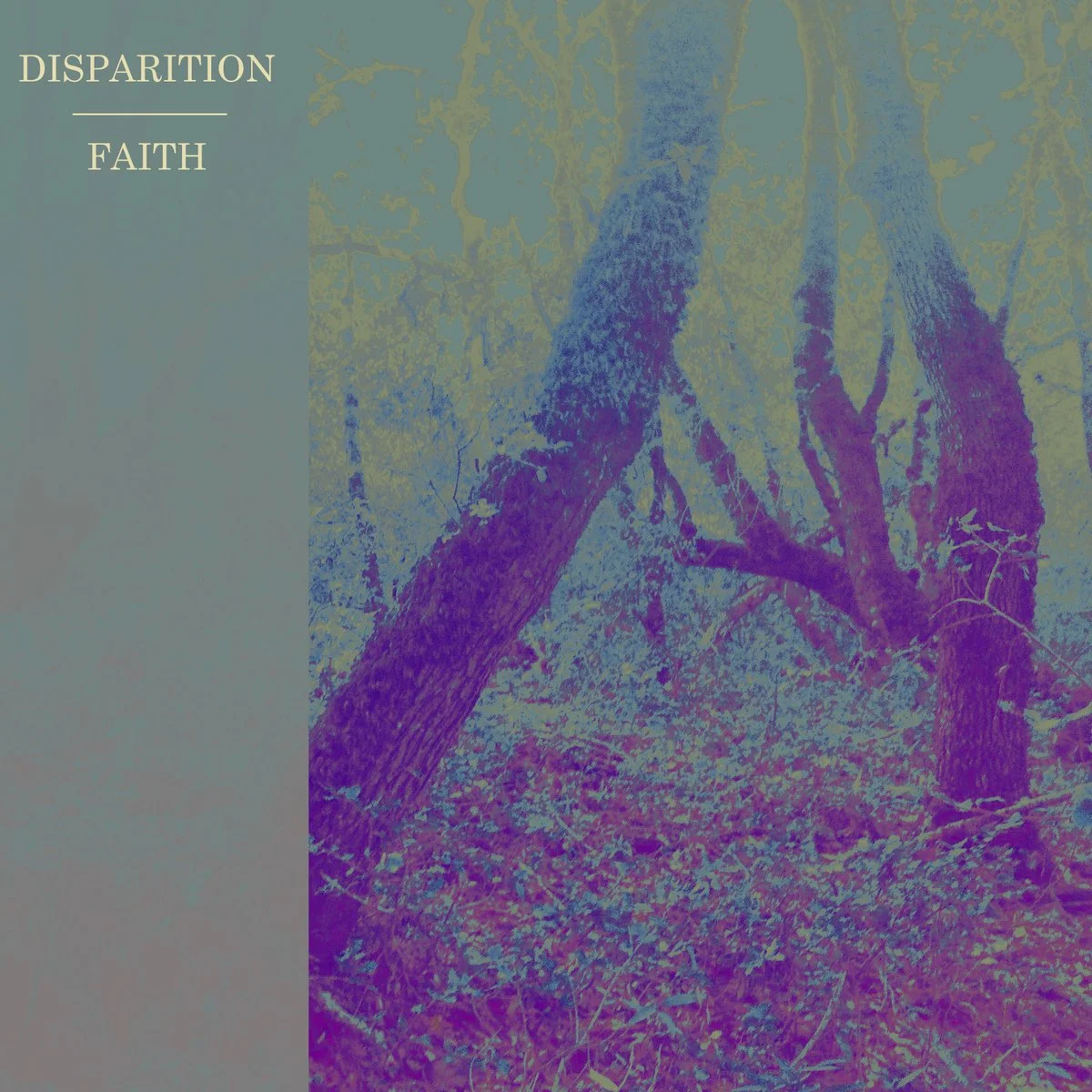 Faith by Disparition