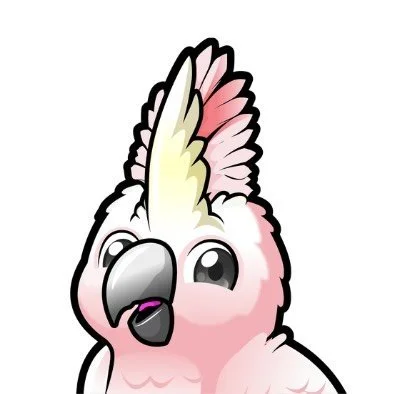 Cockatoo