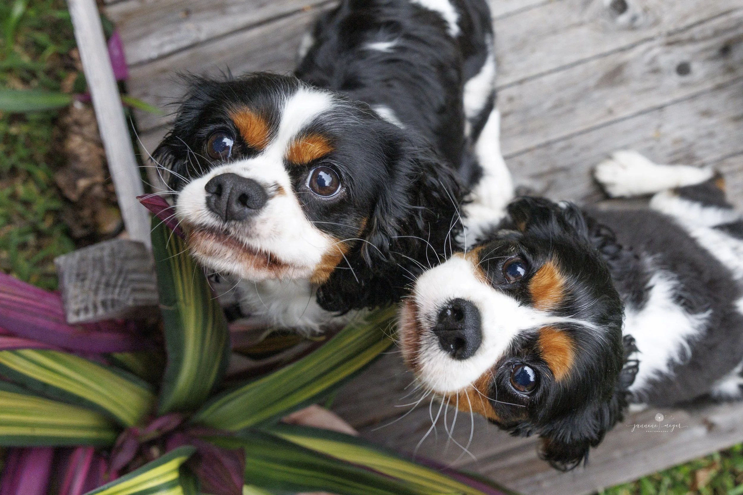 Avoid Overdoing Carbs — Why Too Much Starch Isn’t So Sweet.