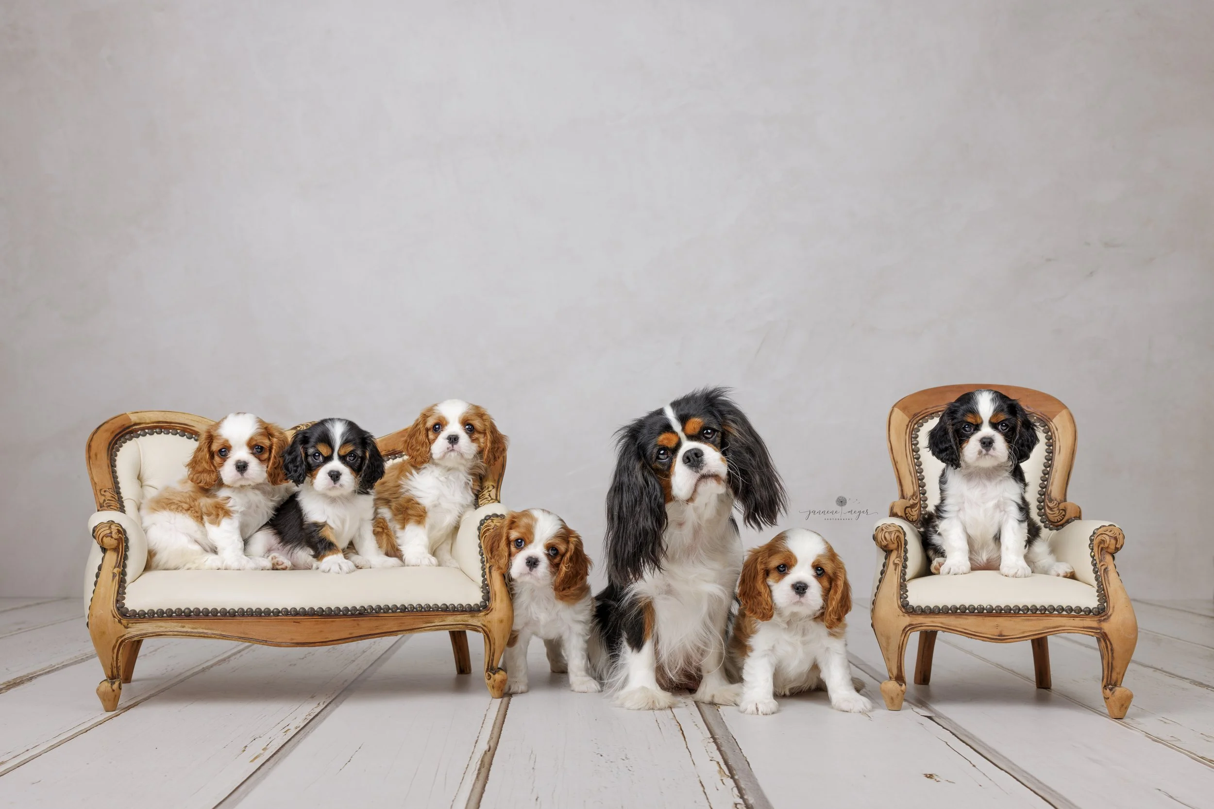 Honouring the Contribution of Our Co-Founder &amp; President