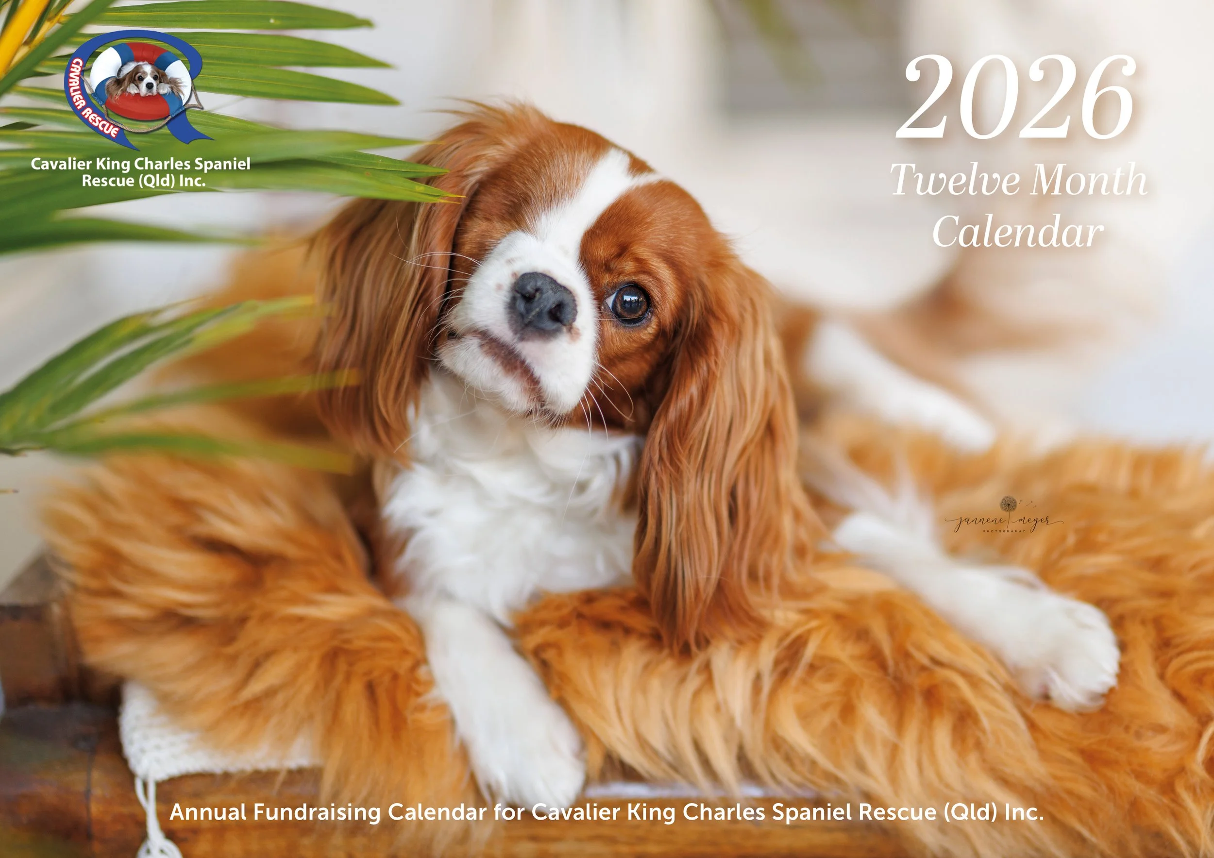 Cavvy Rescue Calendar 2026_cover.jpg