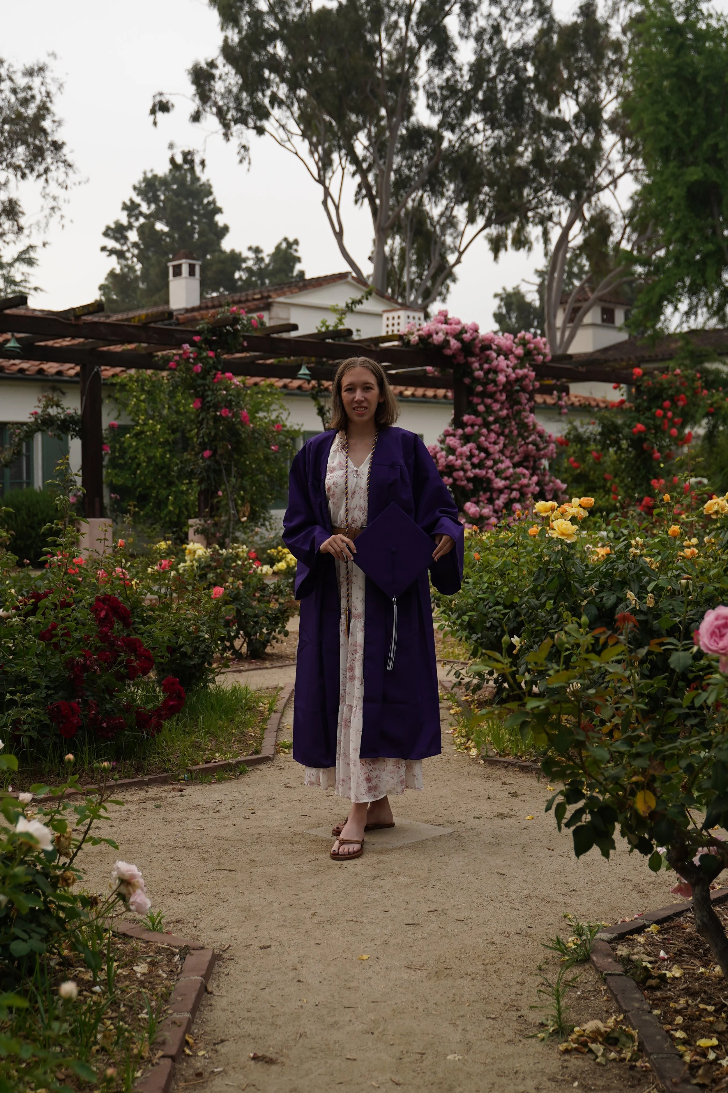 353 Sydney Sherred Gown.JPG