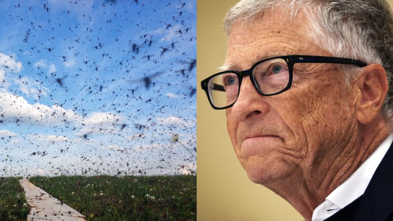 Biologist: Bill Gates ‘Destroyed’ Entire Ecosystem with Mosquito Agenda