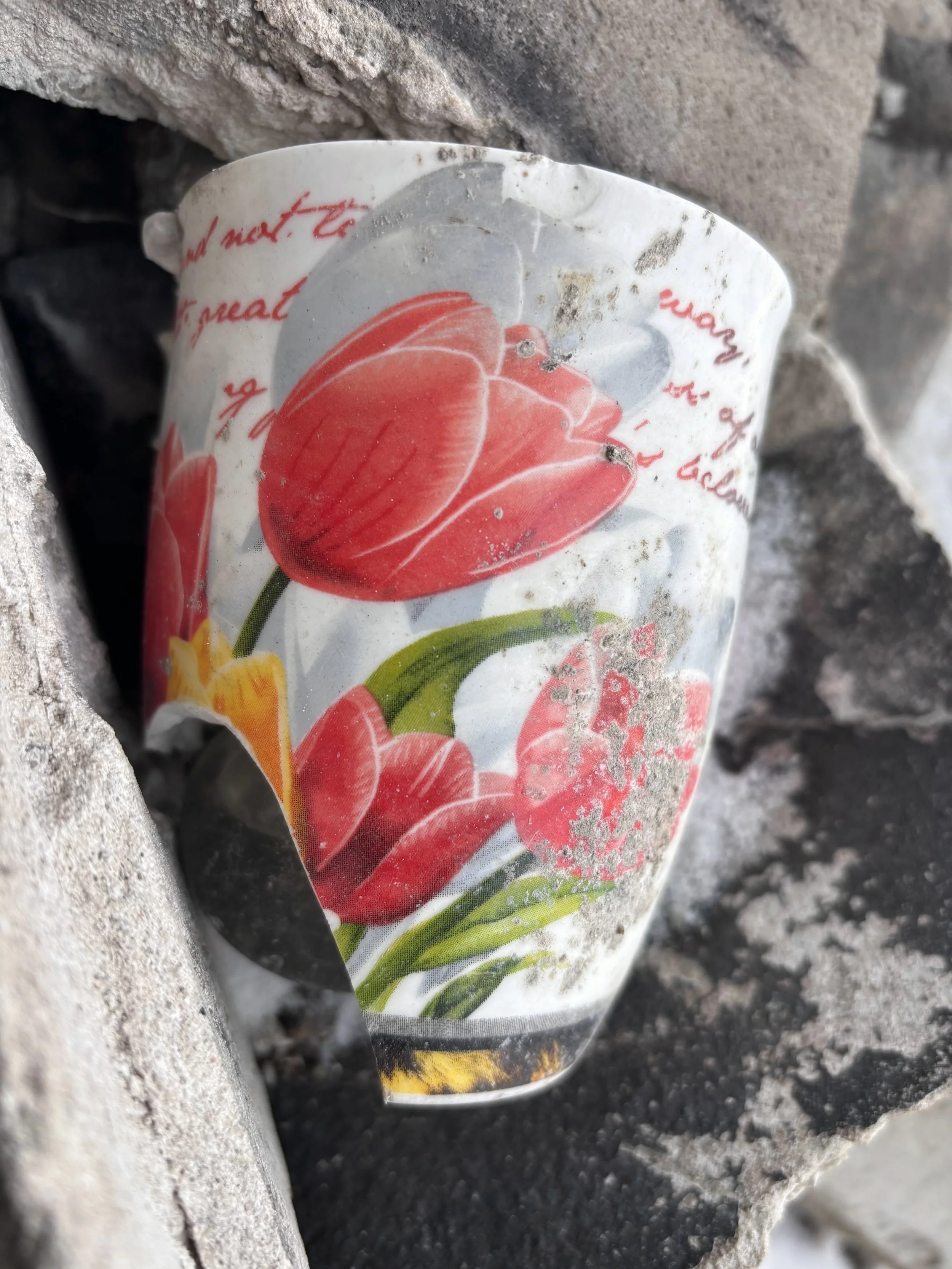 izyum, part ii:                        “that’s my cup”