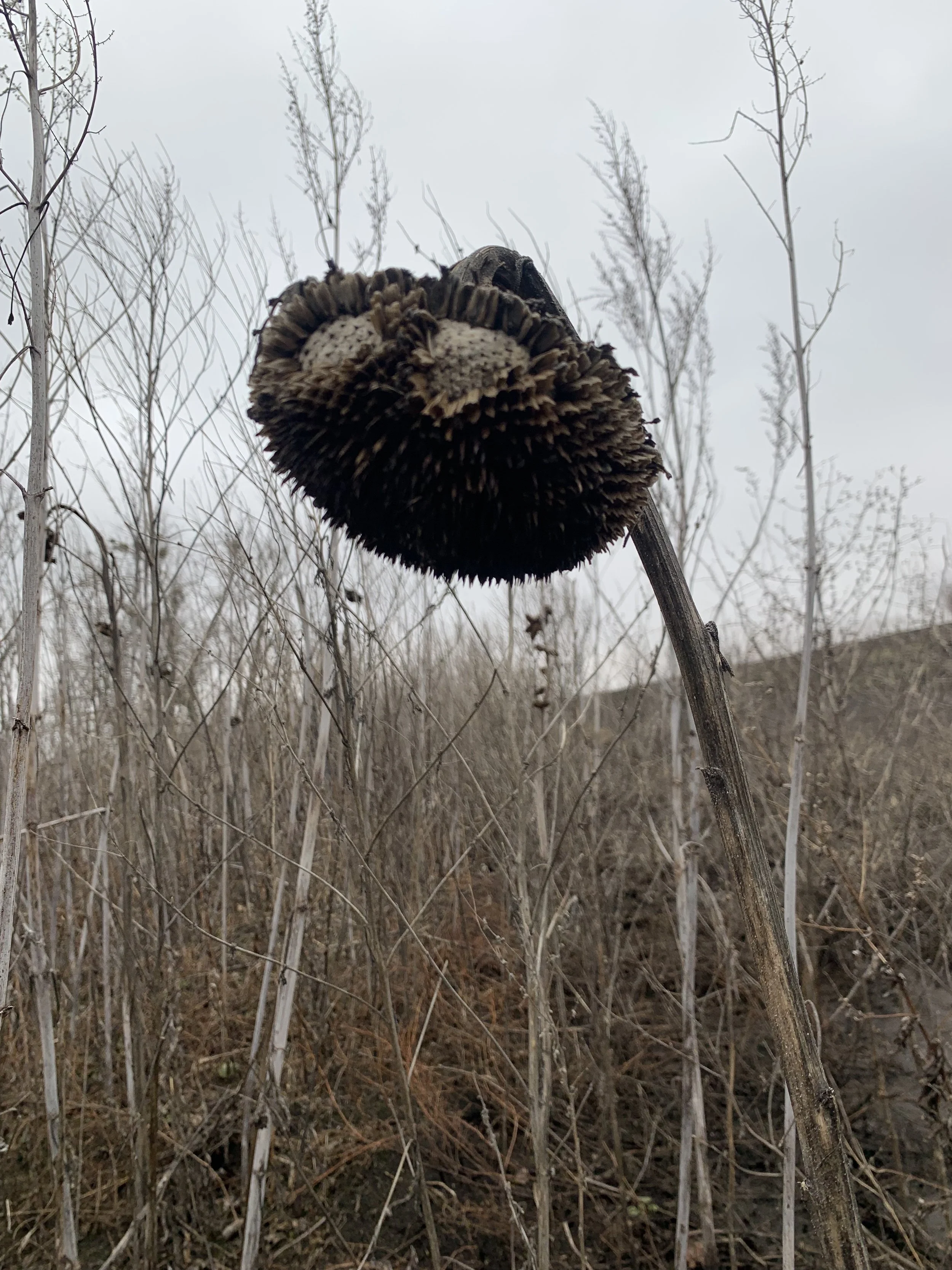 first trip journal entry: march 16, 2023
