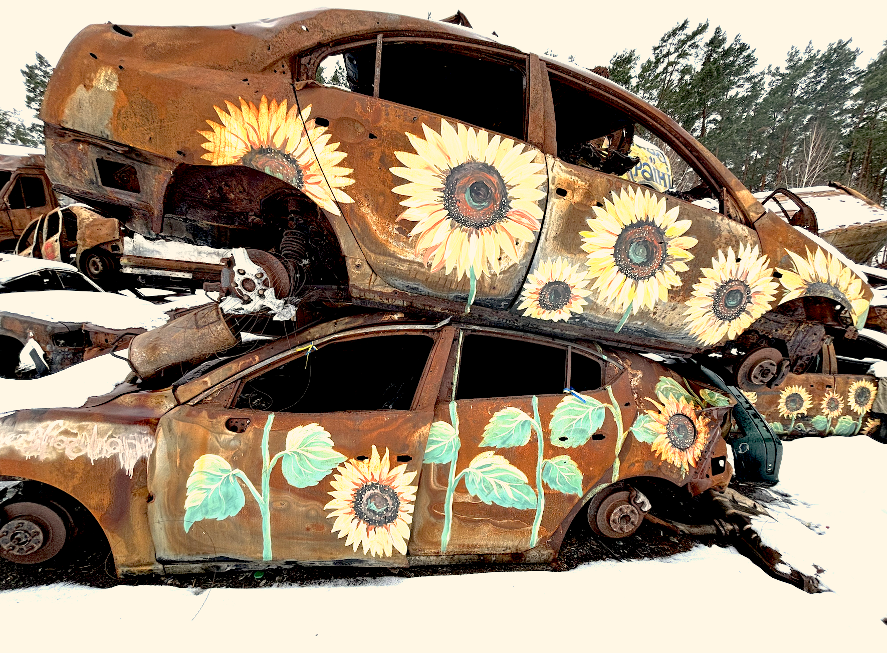 Irpin’s car cemetery 