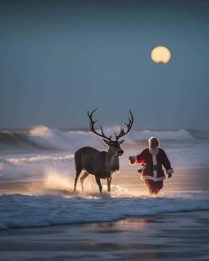 Merry Christmas to all family, friends, clients and all fishos around the world. 
Enjoy the day!