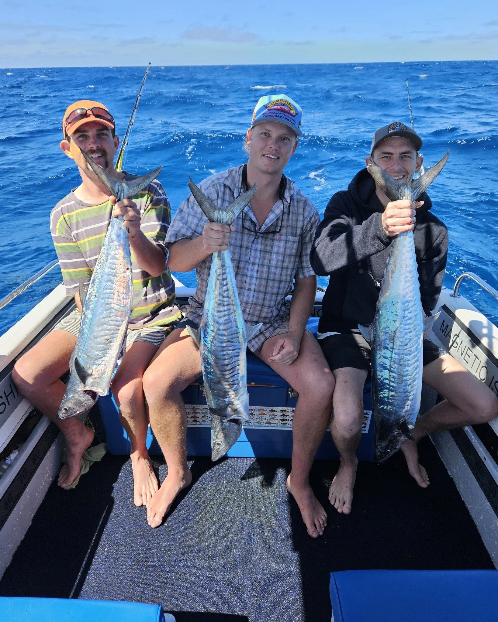 What a fantastic day out wide chasing pelagics. Some nice Spanish Mackerel and School Mackerel. Unfortunately the boys dropped a Marlin that nearly spooled us in a matter of seconds but that's fishing. 
Plenty of Humpback Whales, Dolphins,  Turtles, 