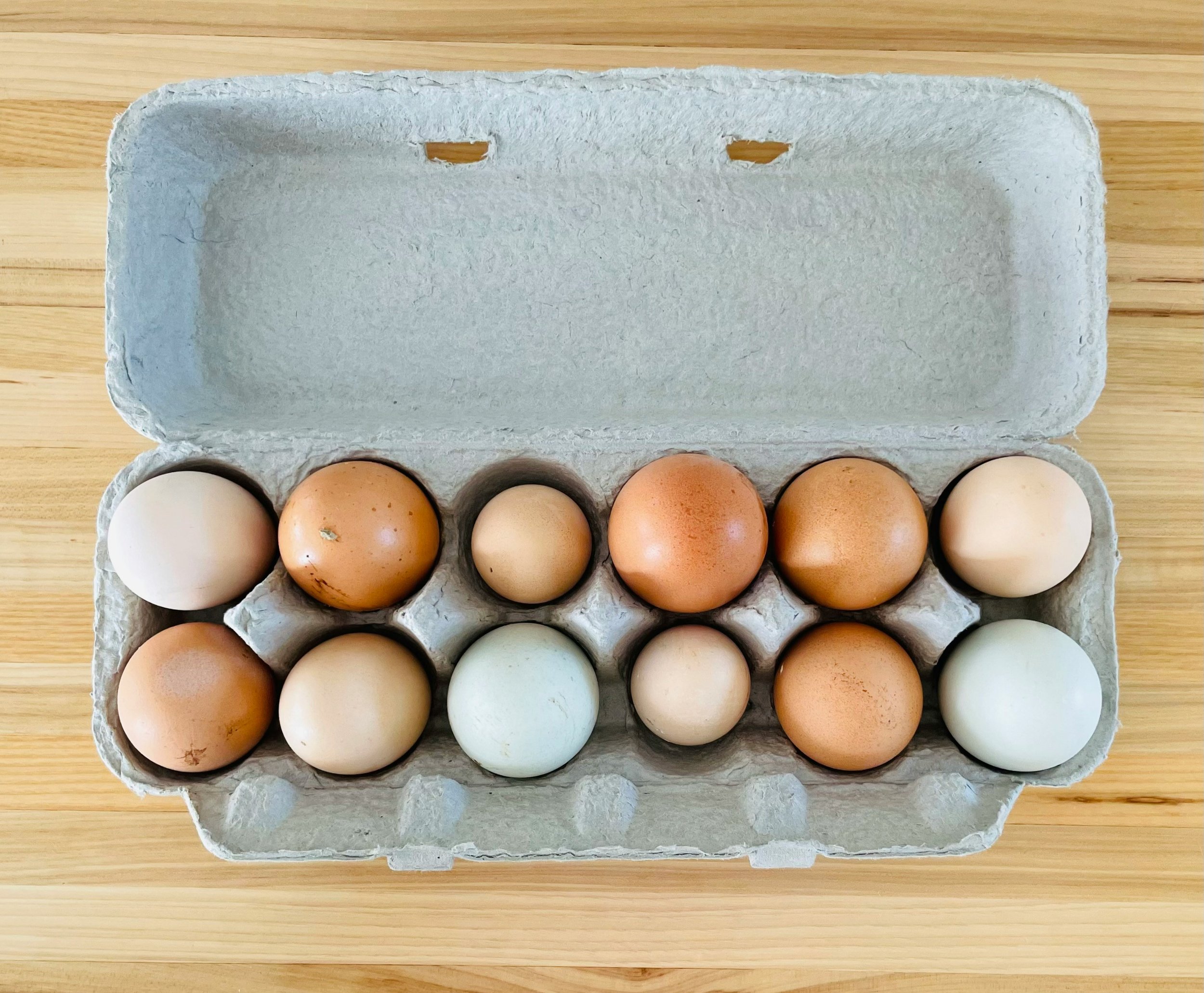 IMG_eggs.jpg