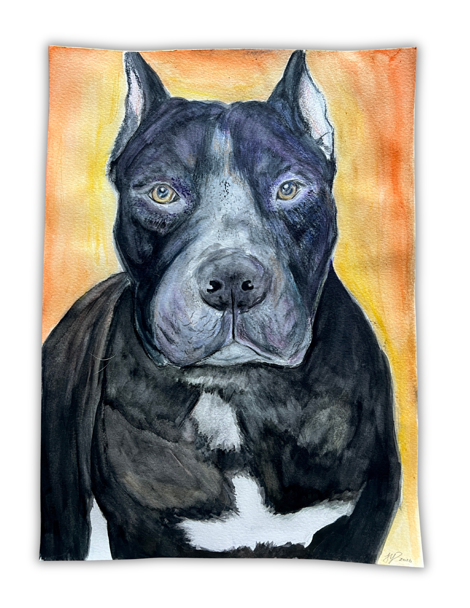 Untitled design (4).png