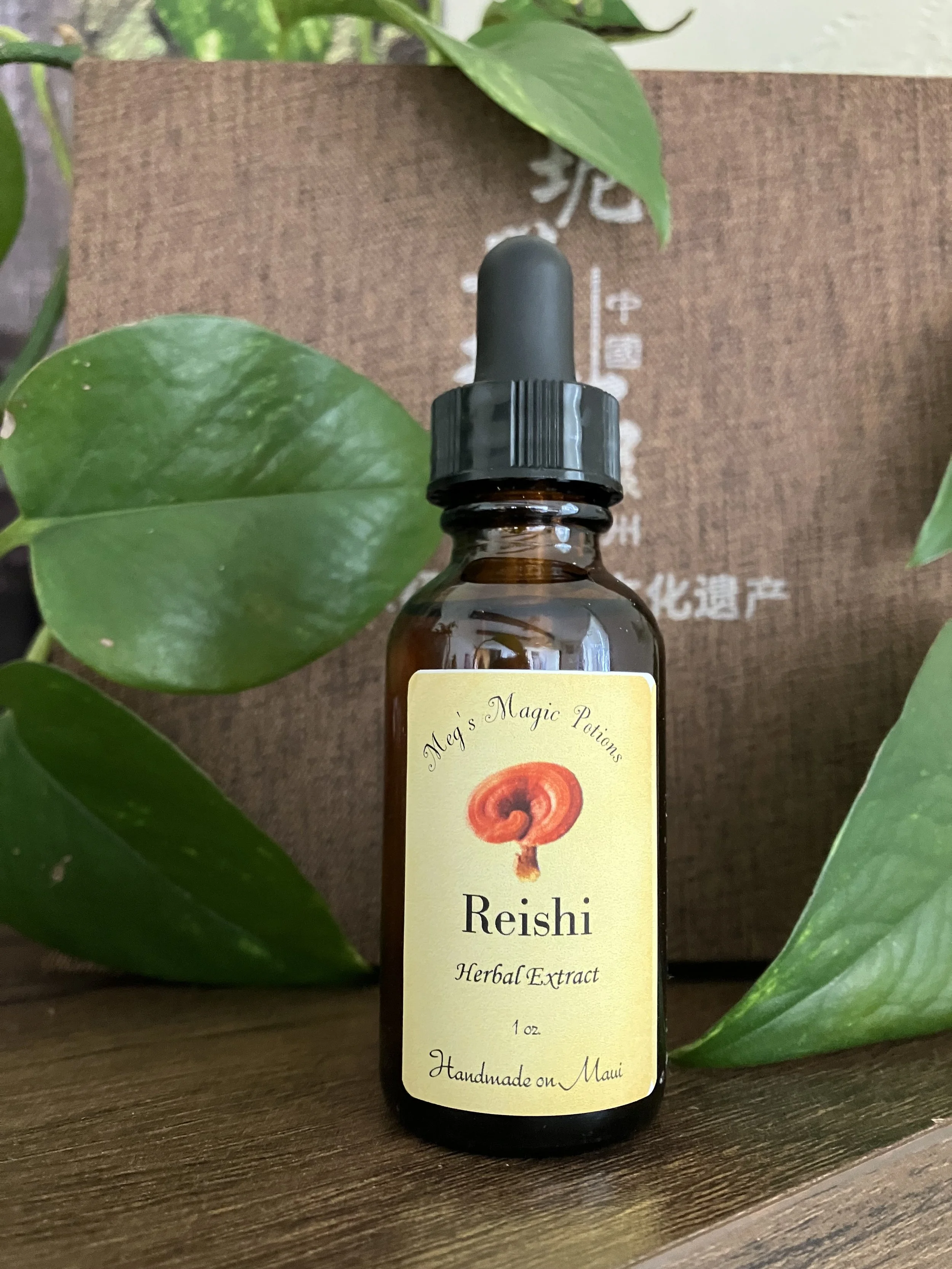 Reishi Dual Extract Chinese Medicine with Meg