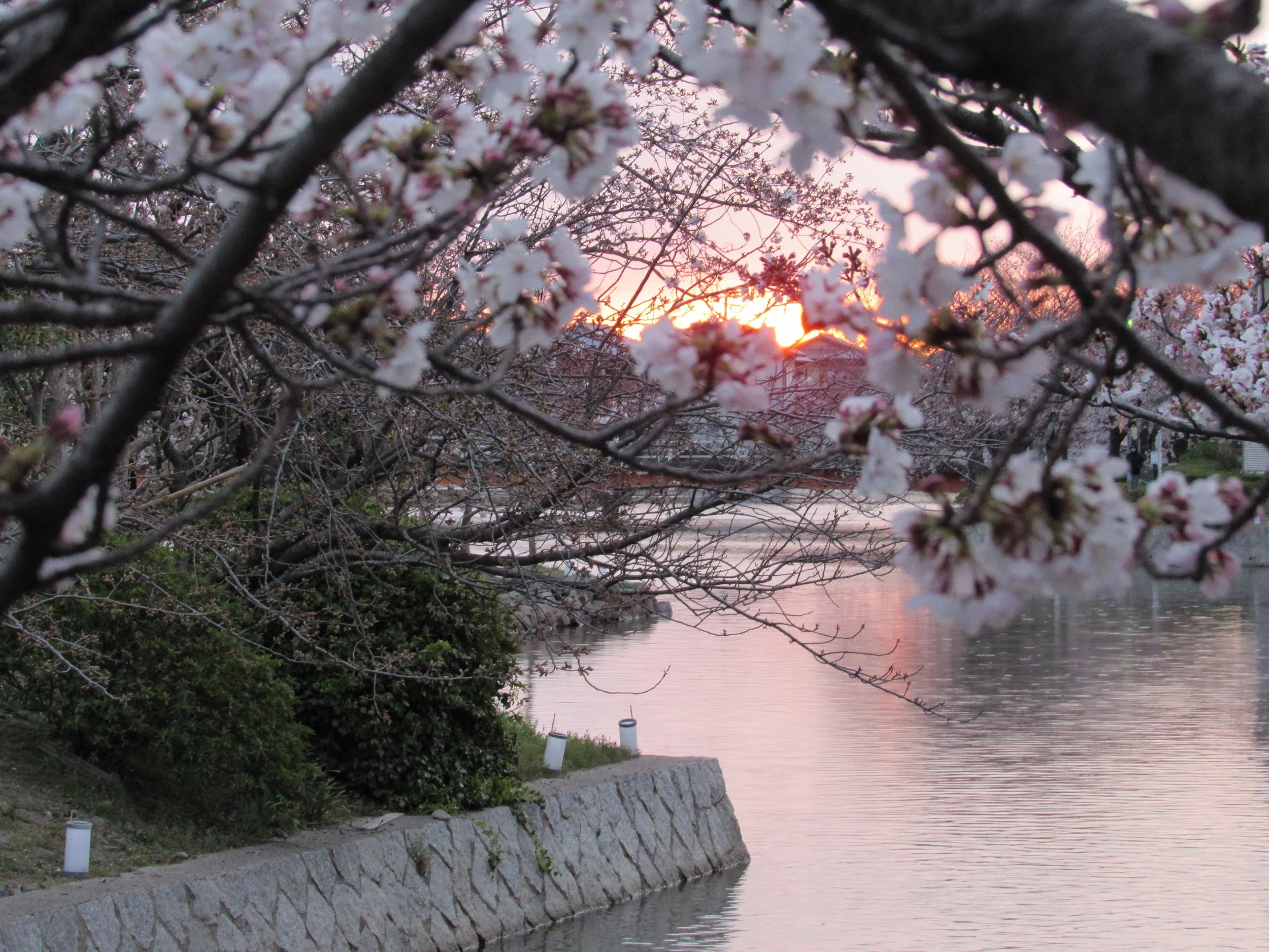 Kuwana, Mie