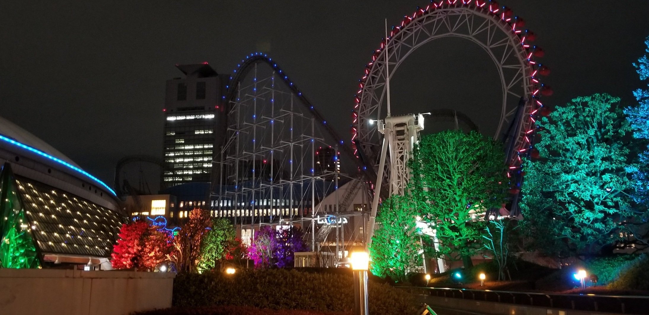 processed_20230203_180236.jpg