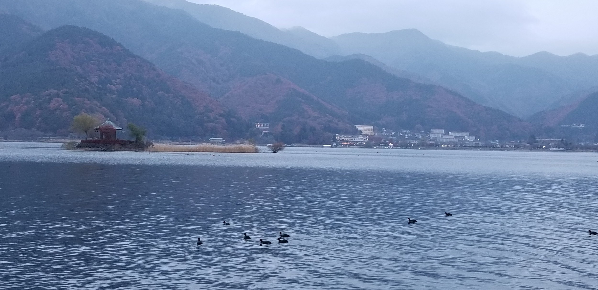 processed_20211121_163508.jpg