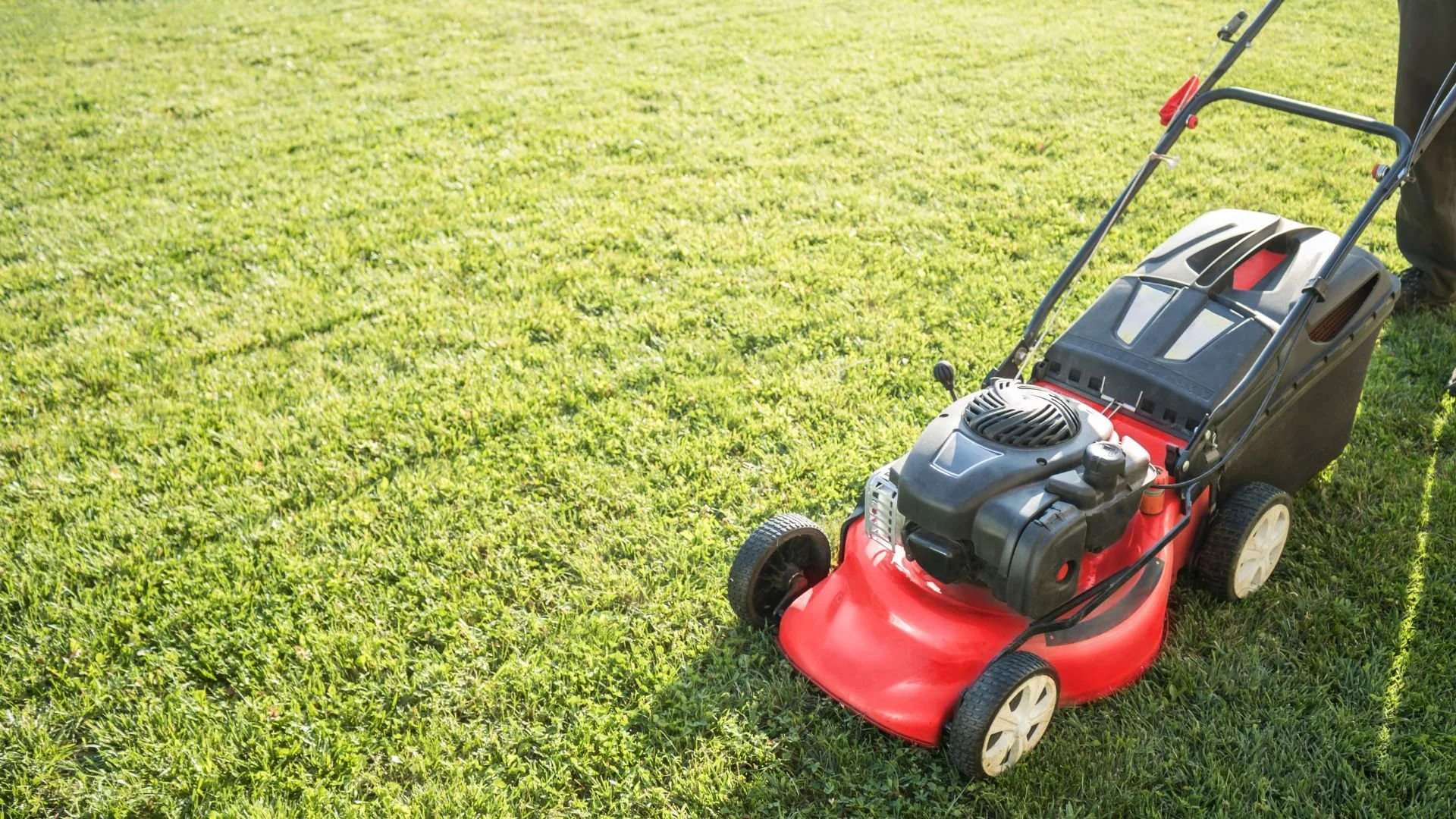 How Much Does Lawn Mowing Cost — Kanga Gardening