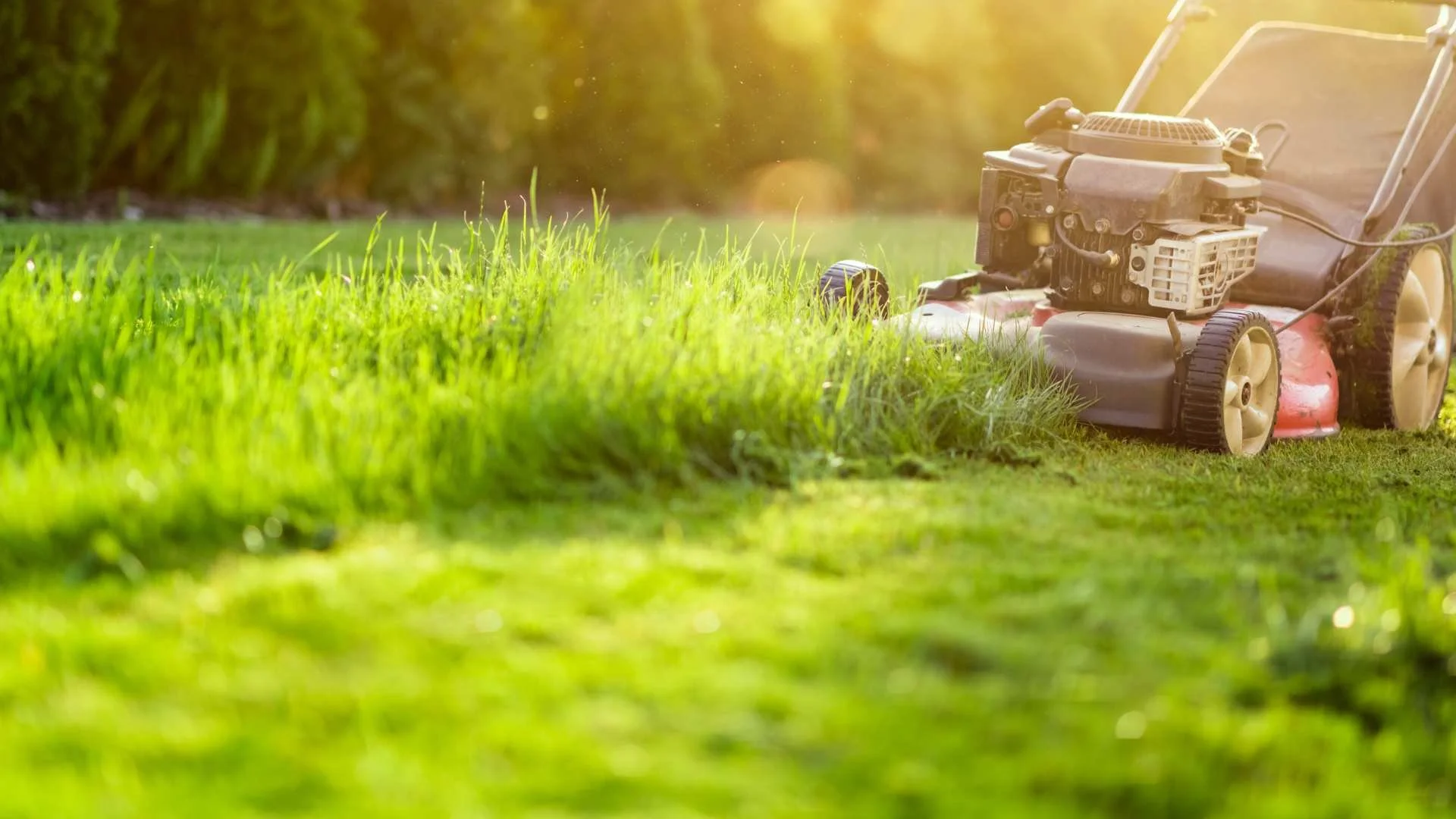 How Much Does Lawn Mowing Cost — Kanga Gardening