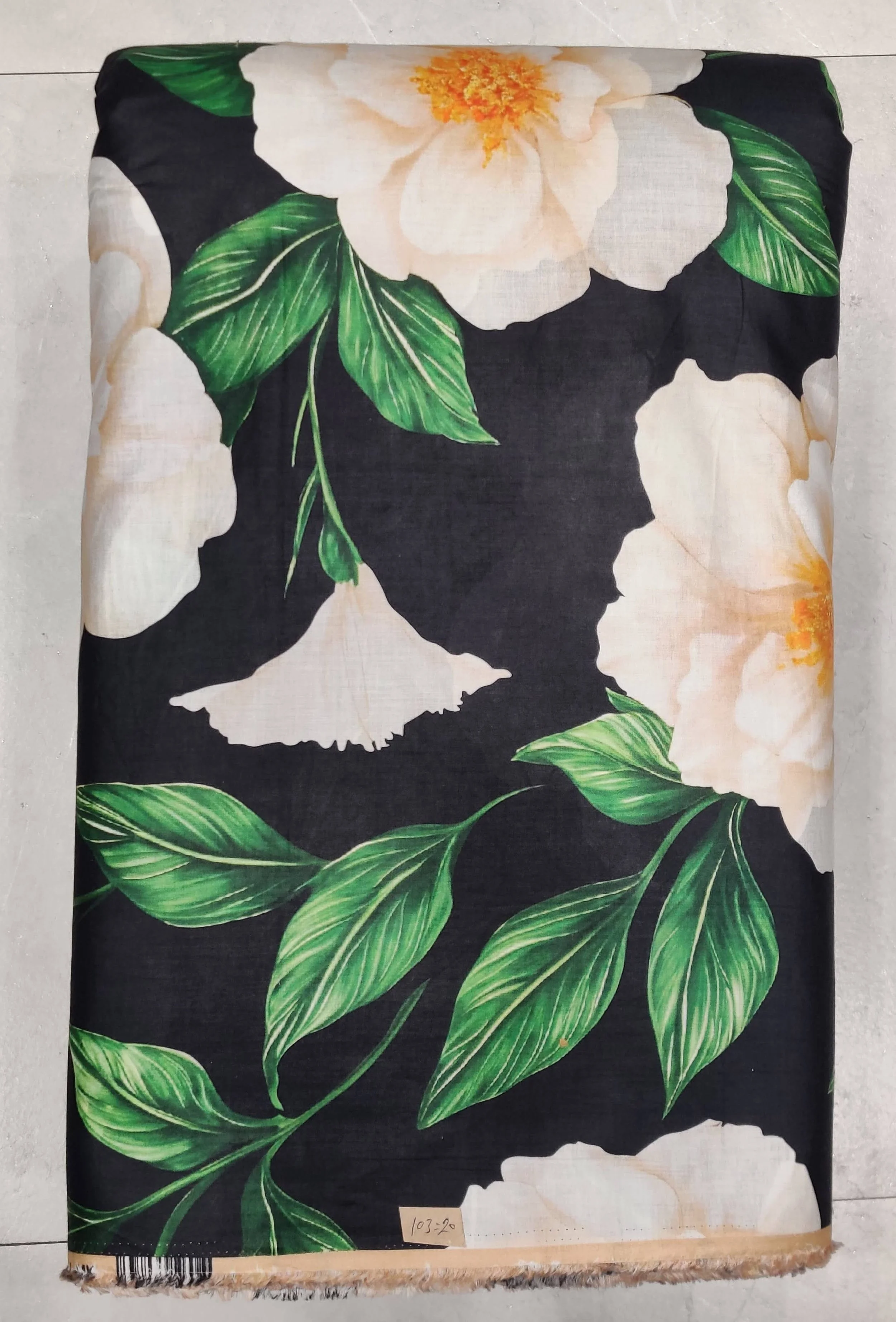 Rich black background featuring large, elegant white camellia flowers with prominent golden-yellow centers, surrounded by lush dark green leaves.