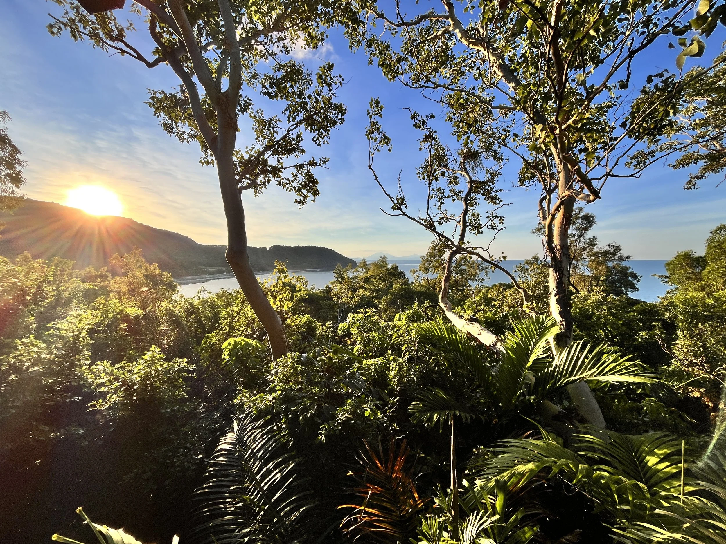 Road-trip de Brisbane à Cairns