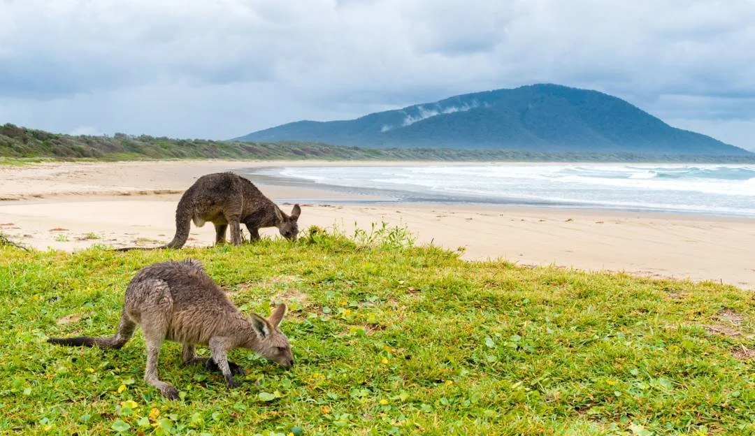 Road-trip en Australie