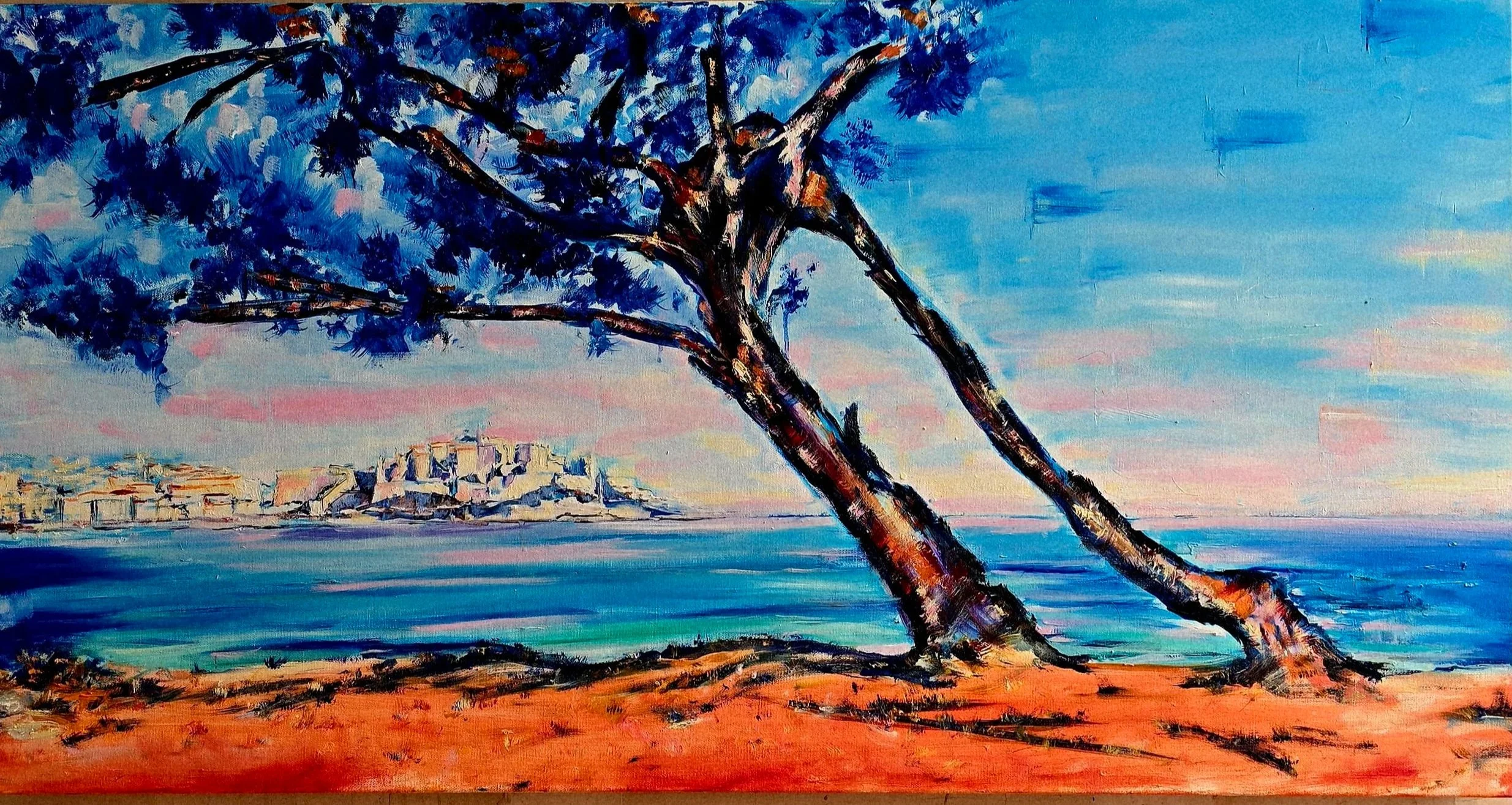 Calvi, l'arbre bleu