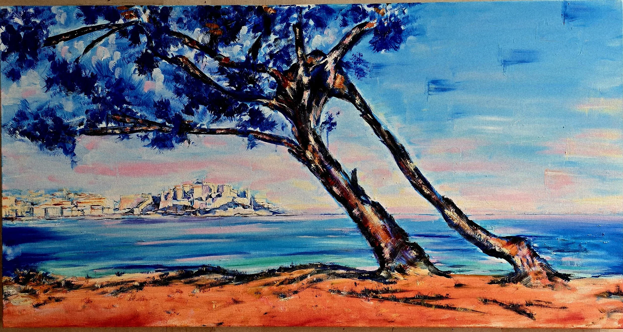 l'arbre bleu, Calvi