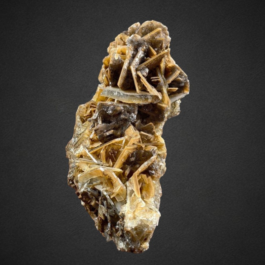 20. 2604_BC1 (1).png