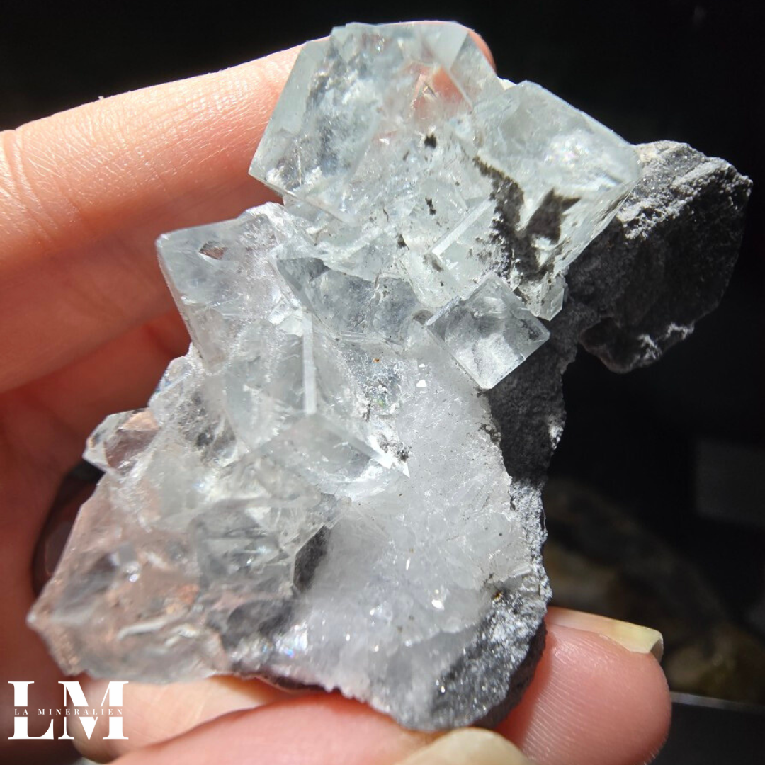 5. 1125_XHL1 (2).png