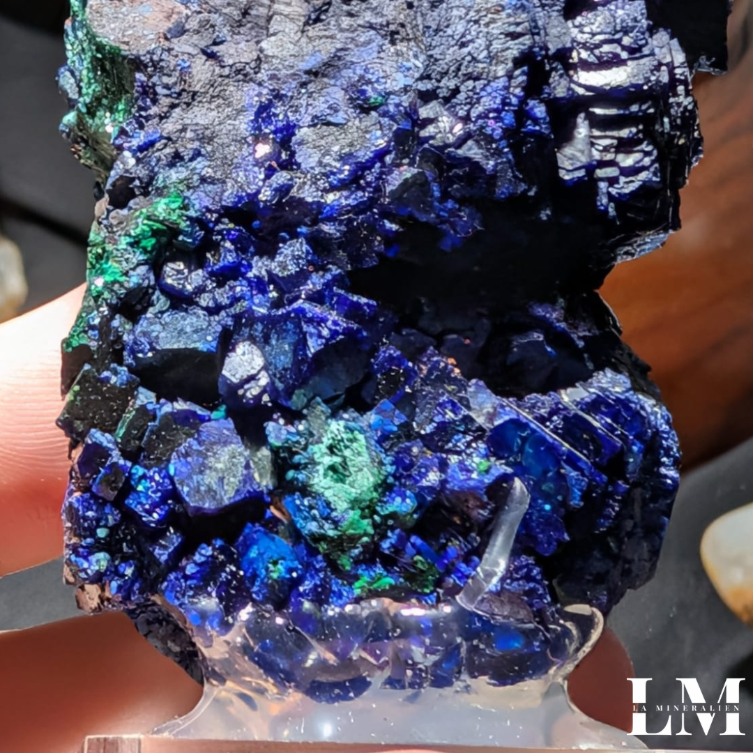 6. 1225_AMC1 (4).png