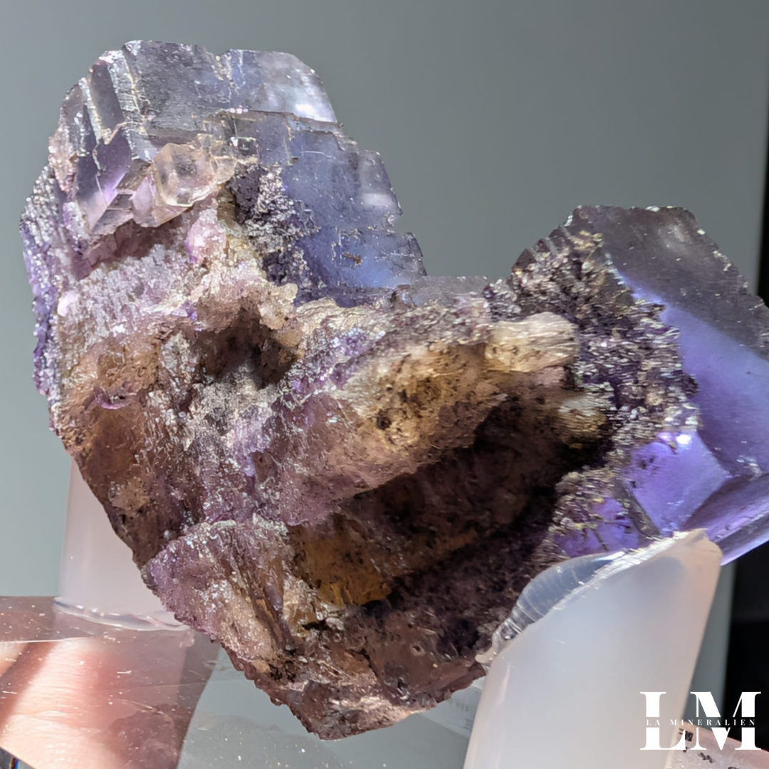 13. 1225-MIN1-1 (4).png