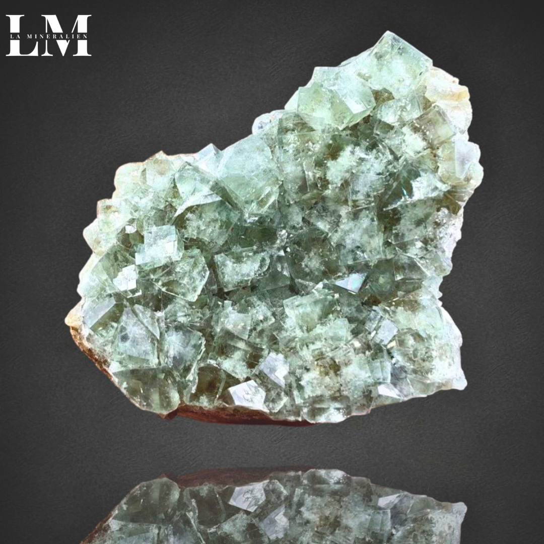 6. 2604_MOP6 (1).png