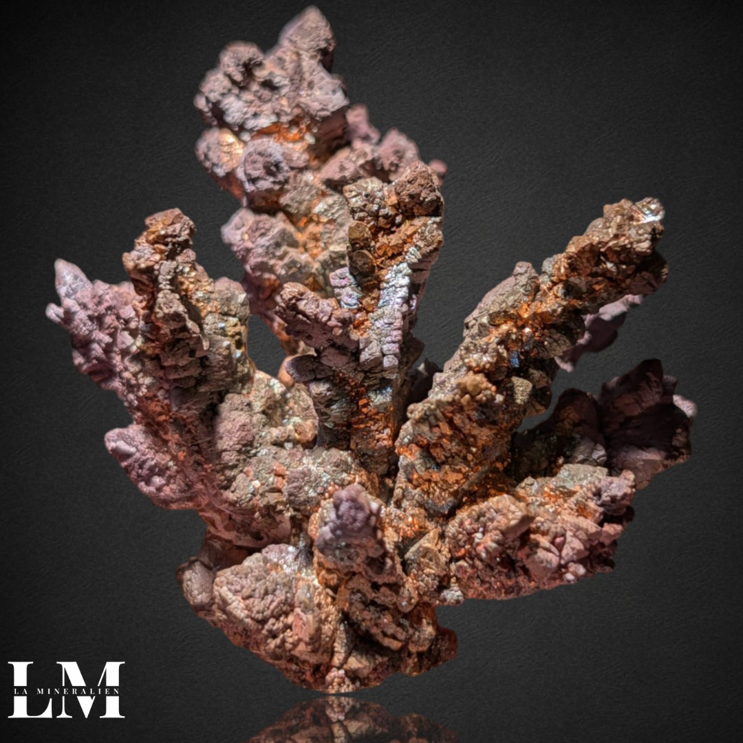 1. 1225_NVR1 (1).png