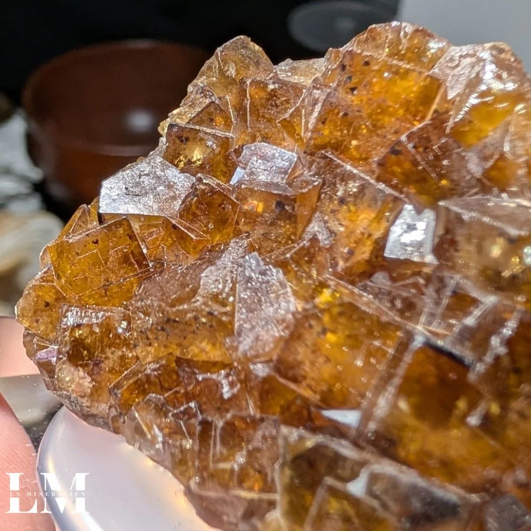 photo_2025-12-26_12-18-08 (2).jpg