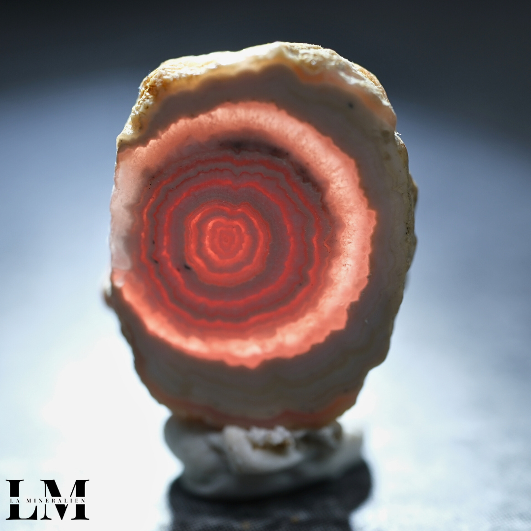 Stalactite Rhodochrosite (Capillitas mining district, Andalgalá
